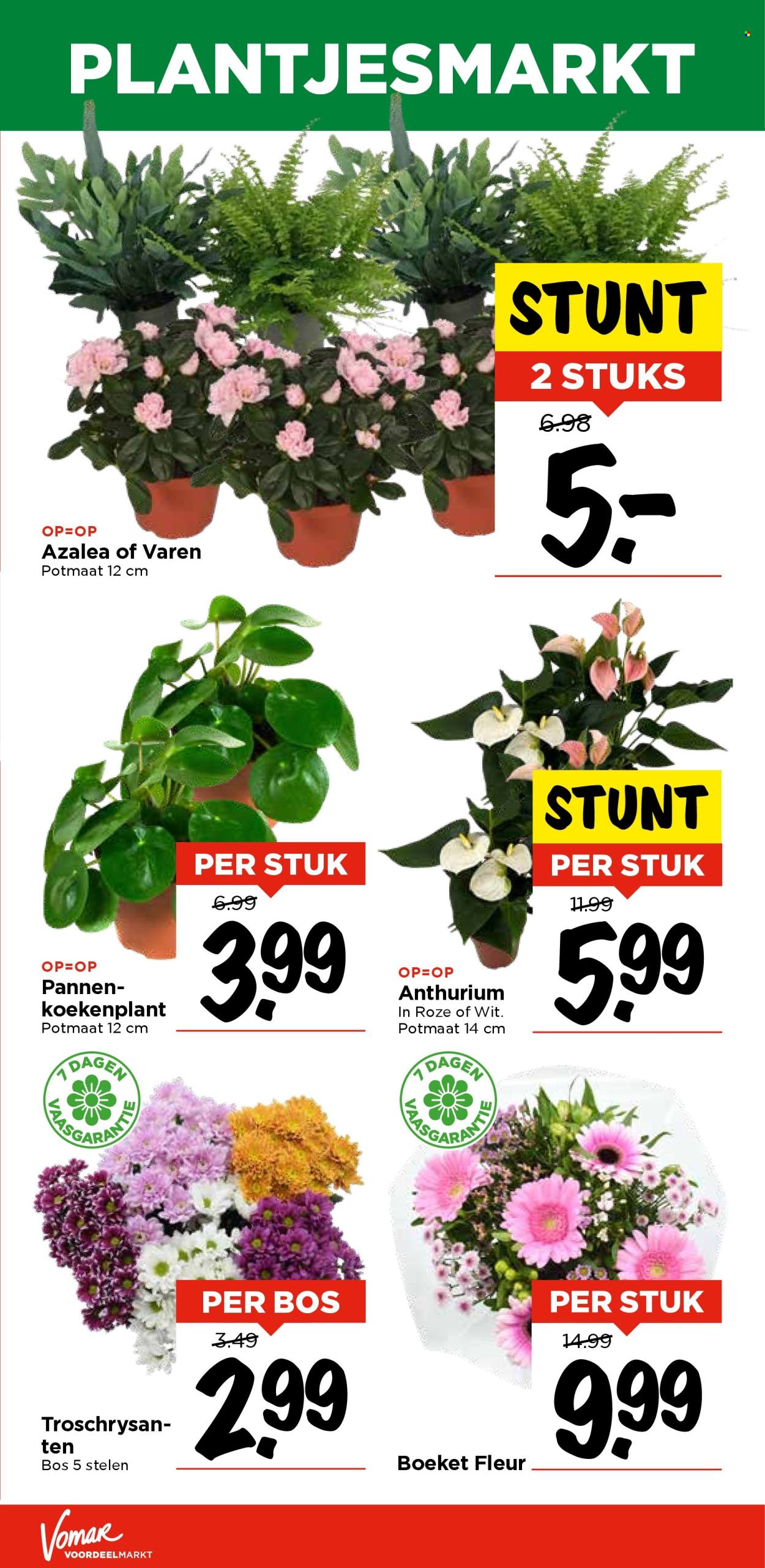 Vomar-aanbieding - 7-11-2024 - 9-11-2024. Pagina 35