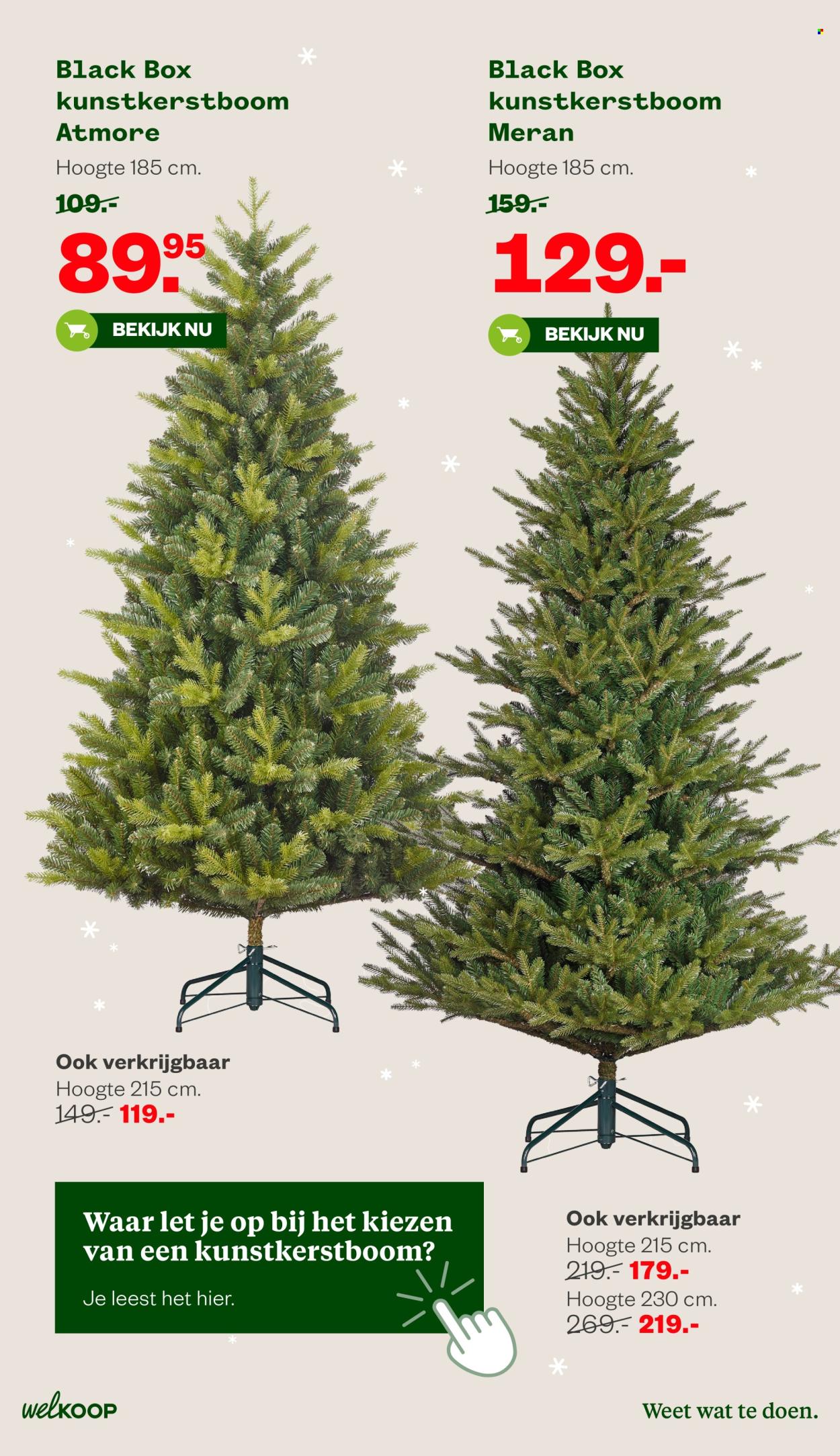 Welkoop-aanbieding - 11-11-2024 - 24-11-2024. Pagina 3