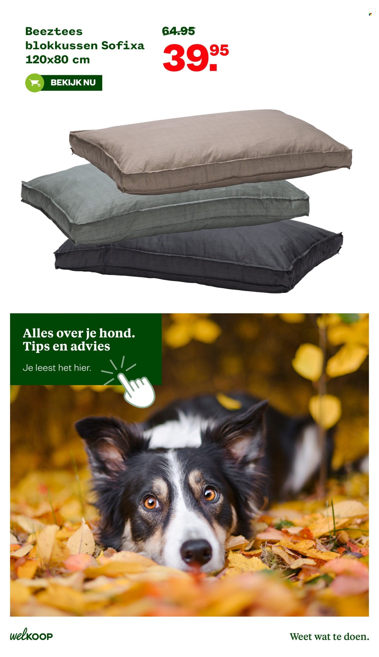 Welkoop-aanbieding - 11-11-2024 - 24-11-2024. Pagina 27