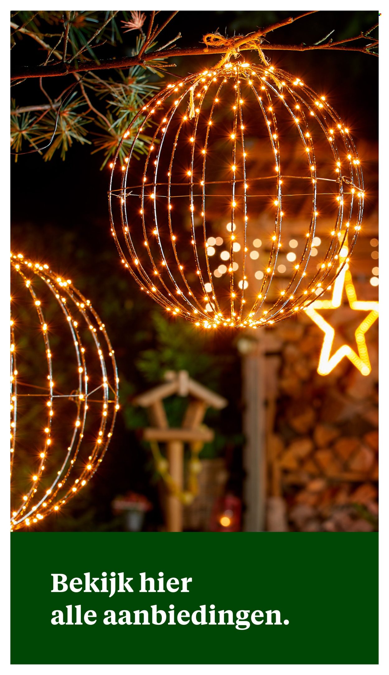 Welkoop-aanbieding - 11-11-2024 - 24-11-2024. Pagina 43