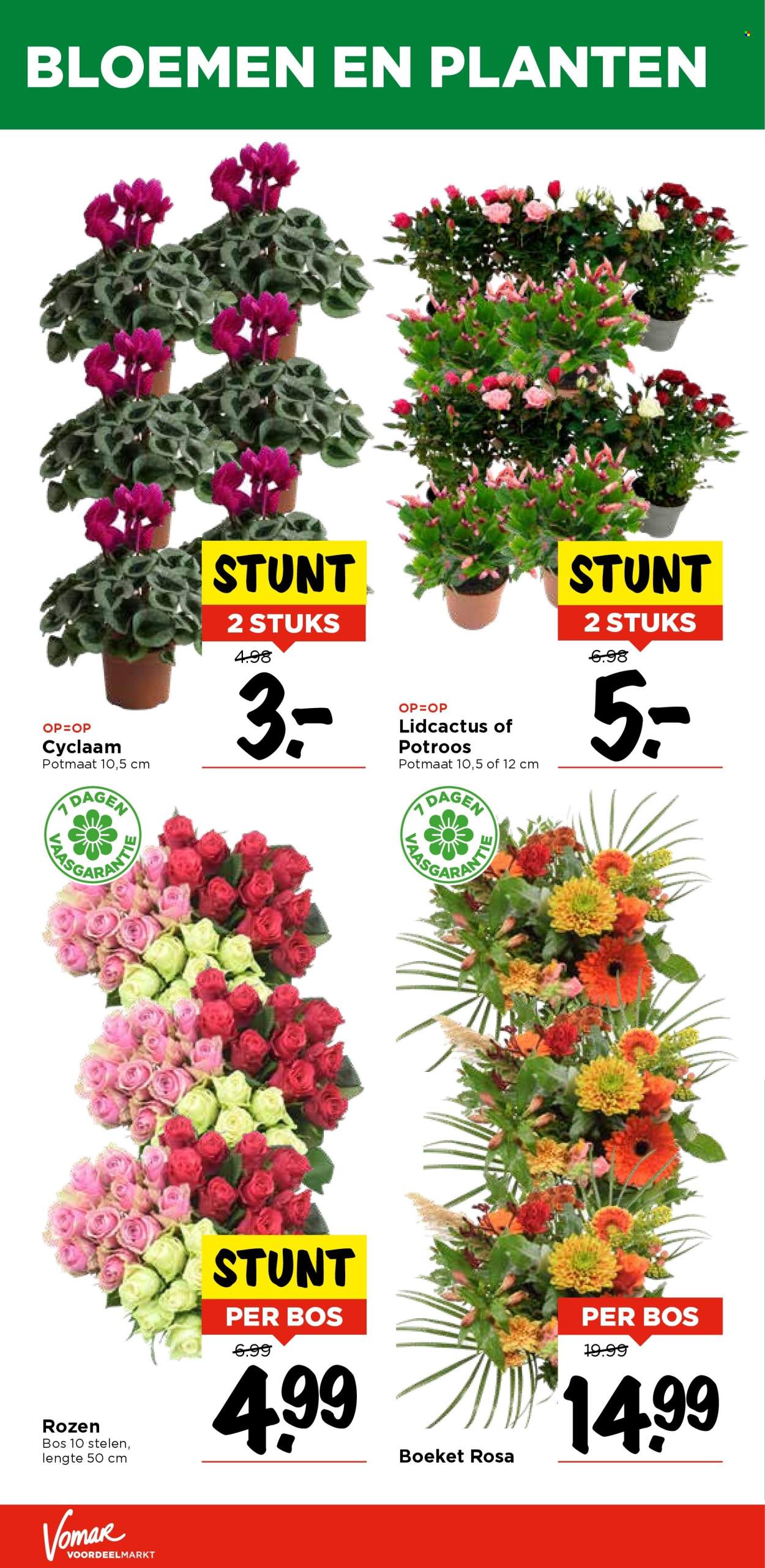 Vomar-aanbieding - 14-11-2024 - 16-11-2024. Pagina 33