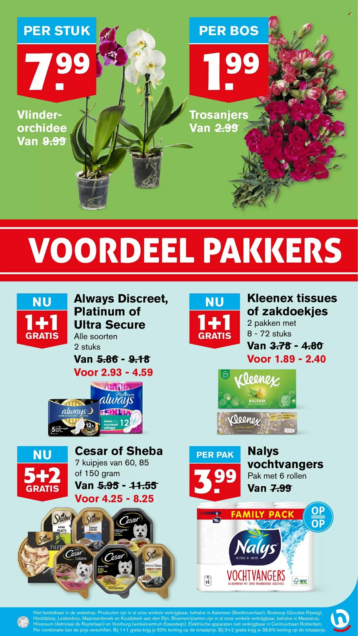 Hoogvliet-aanbieding - 27-11-2024 - 3-12-2024. Pagina 34
