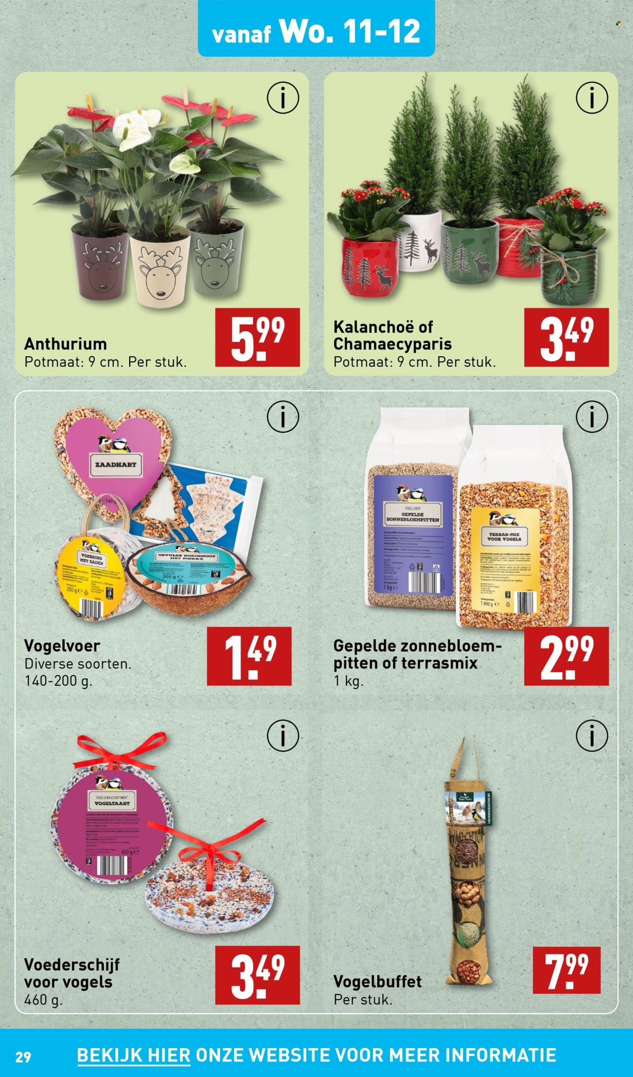 Aldi-aanbieding - 9-12-2024 - 15-12-2024. Pagina 29
