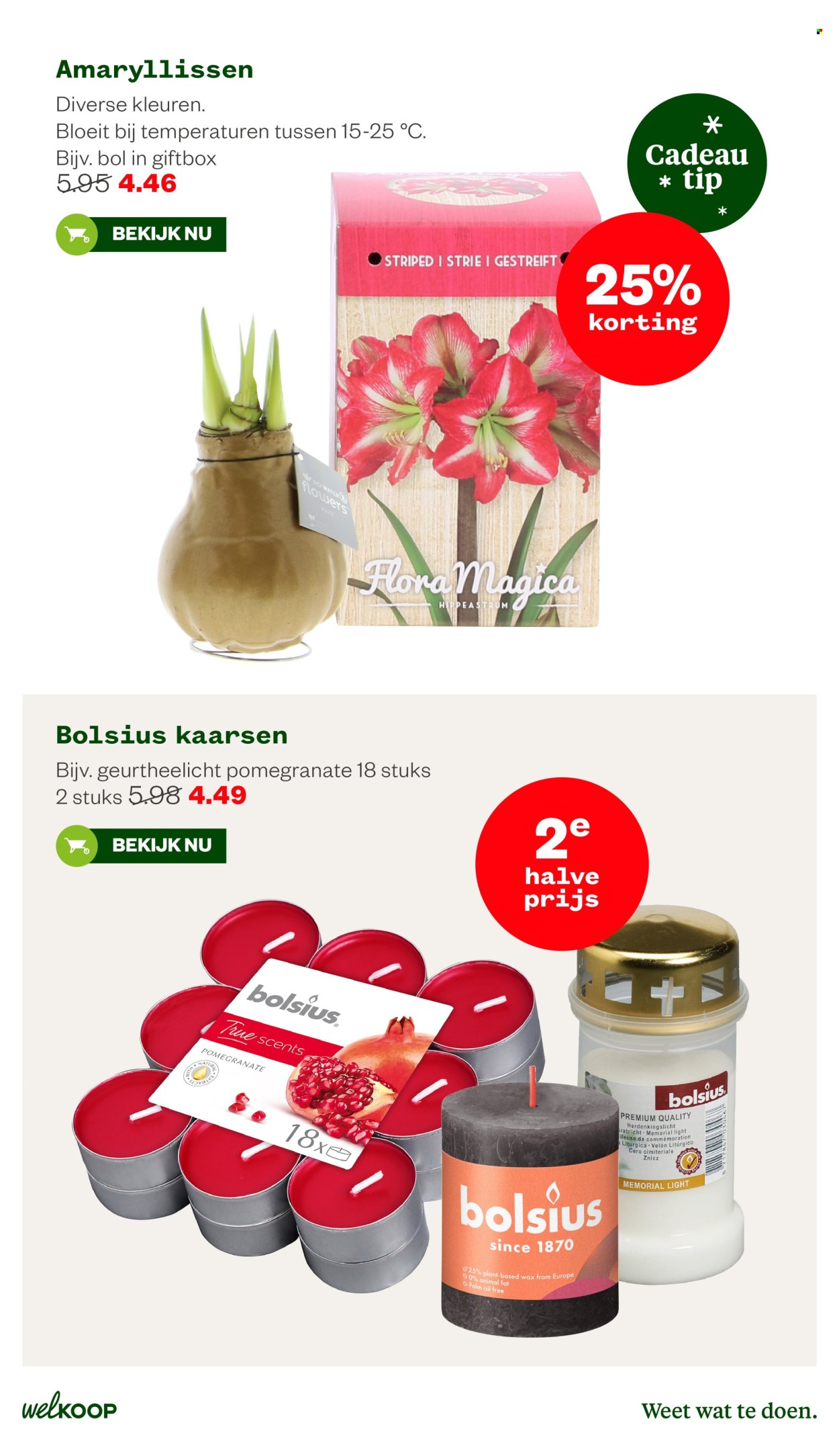 Welkoop-aanbieding - 9-12-2024 - 29-12-2024. Pagina 27