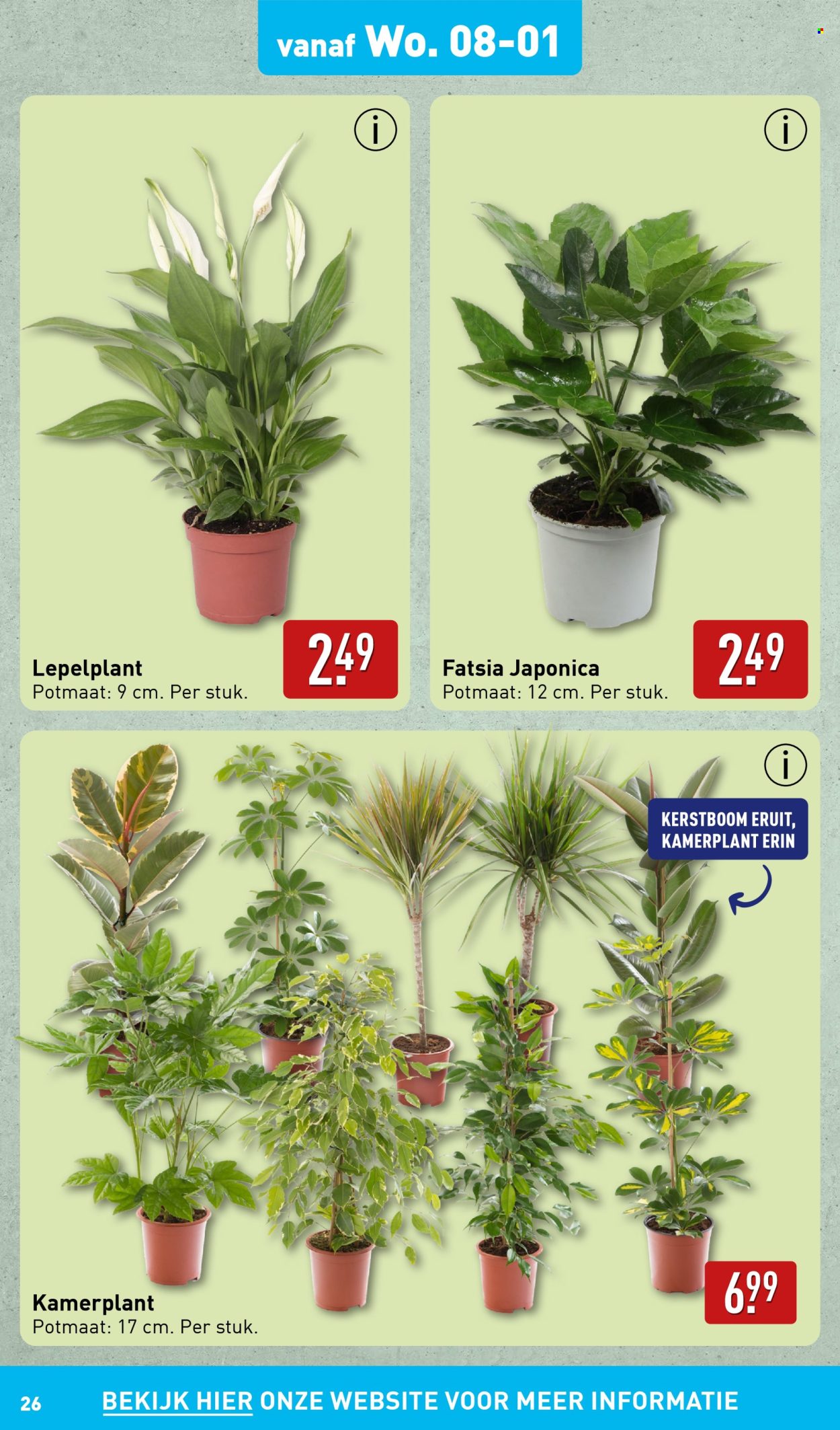 Aldi-aanbieding - 6-1-2025 - 12-1-2025. Pagina 26