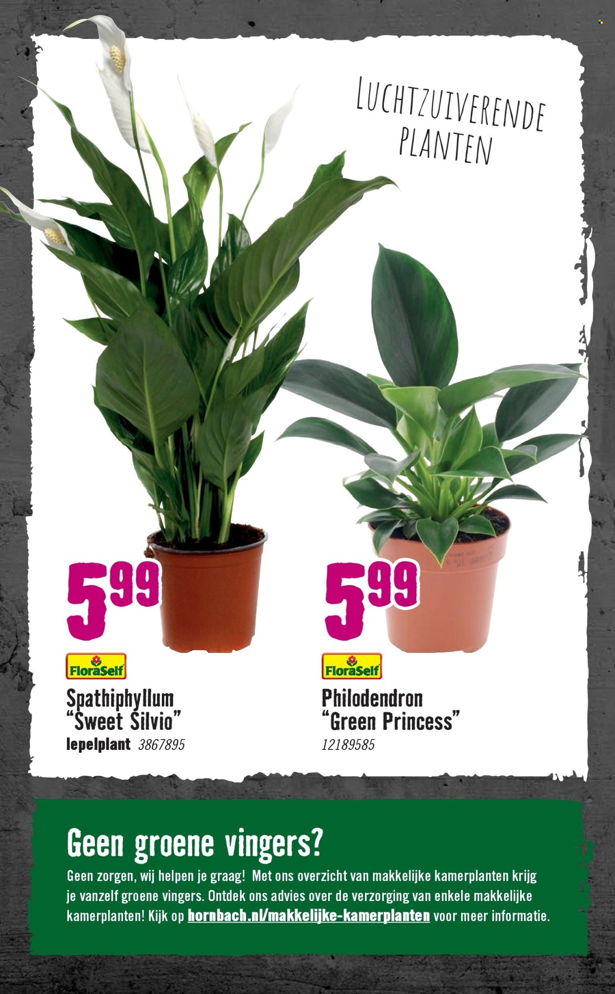 Hornbach-aanbieding - 6-1-2025 - 2-2-2025. Pagina 77