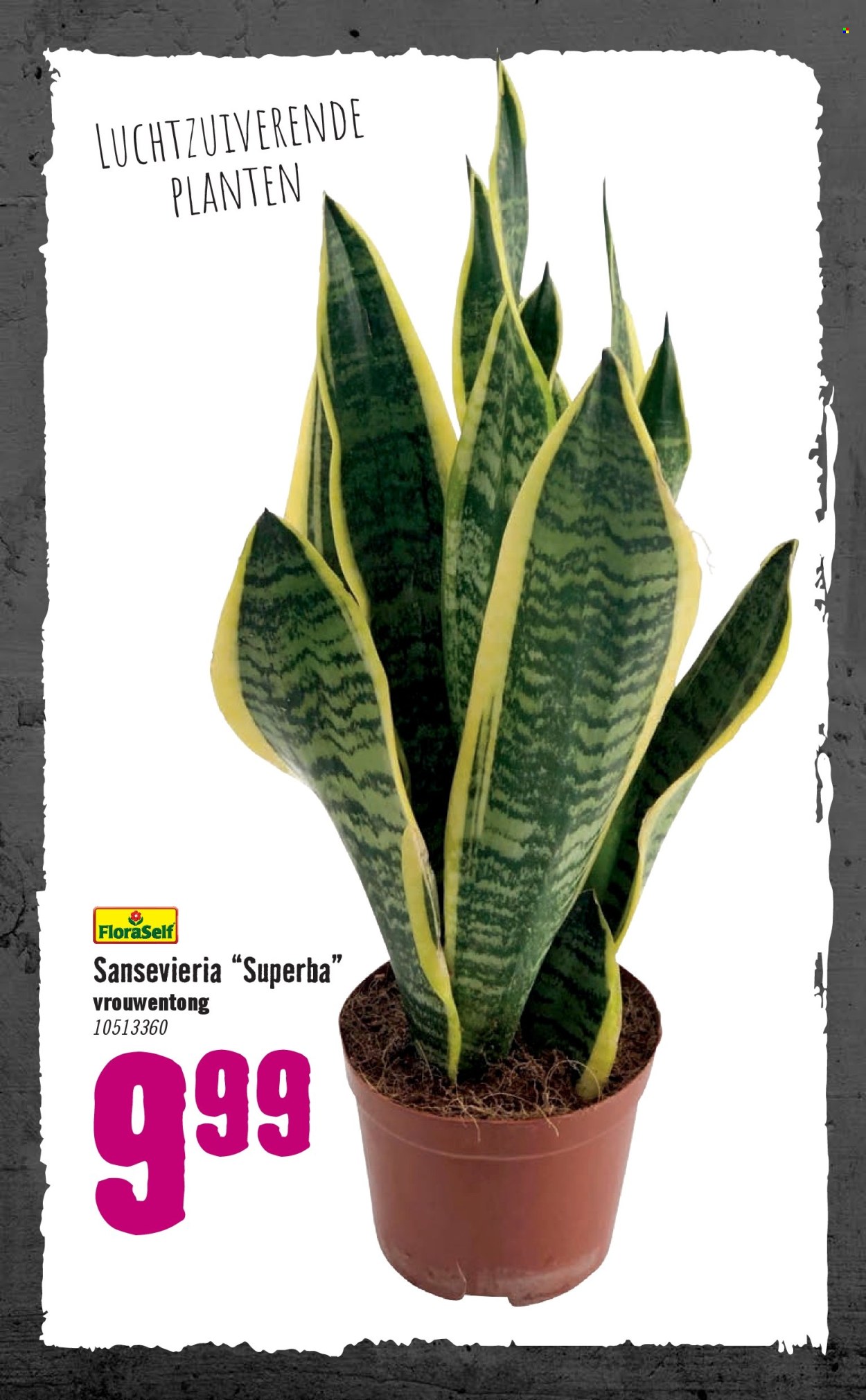 Hornbach-aanbieding - 6-1-2025 - 2-2-2025. Pagina 78