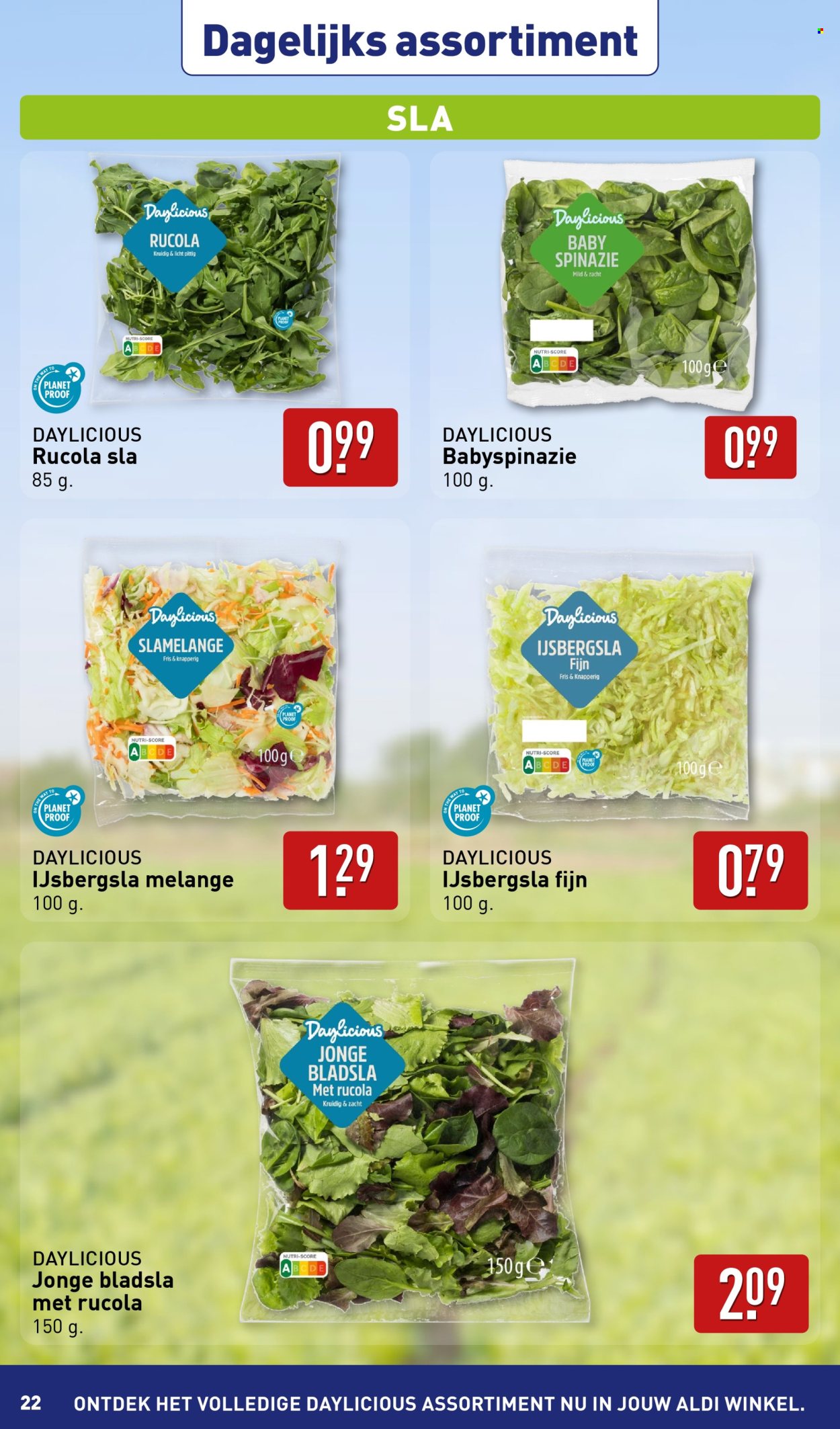 Aldi-aanbieding - 13-1-2025 - 19-1-2025. Pagina 22
