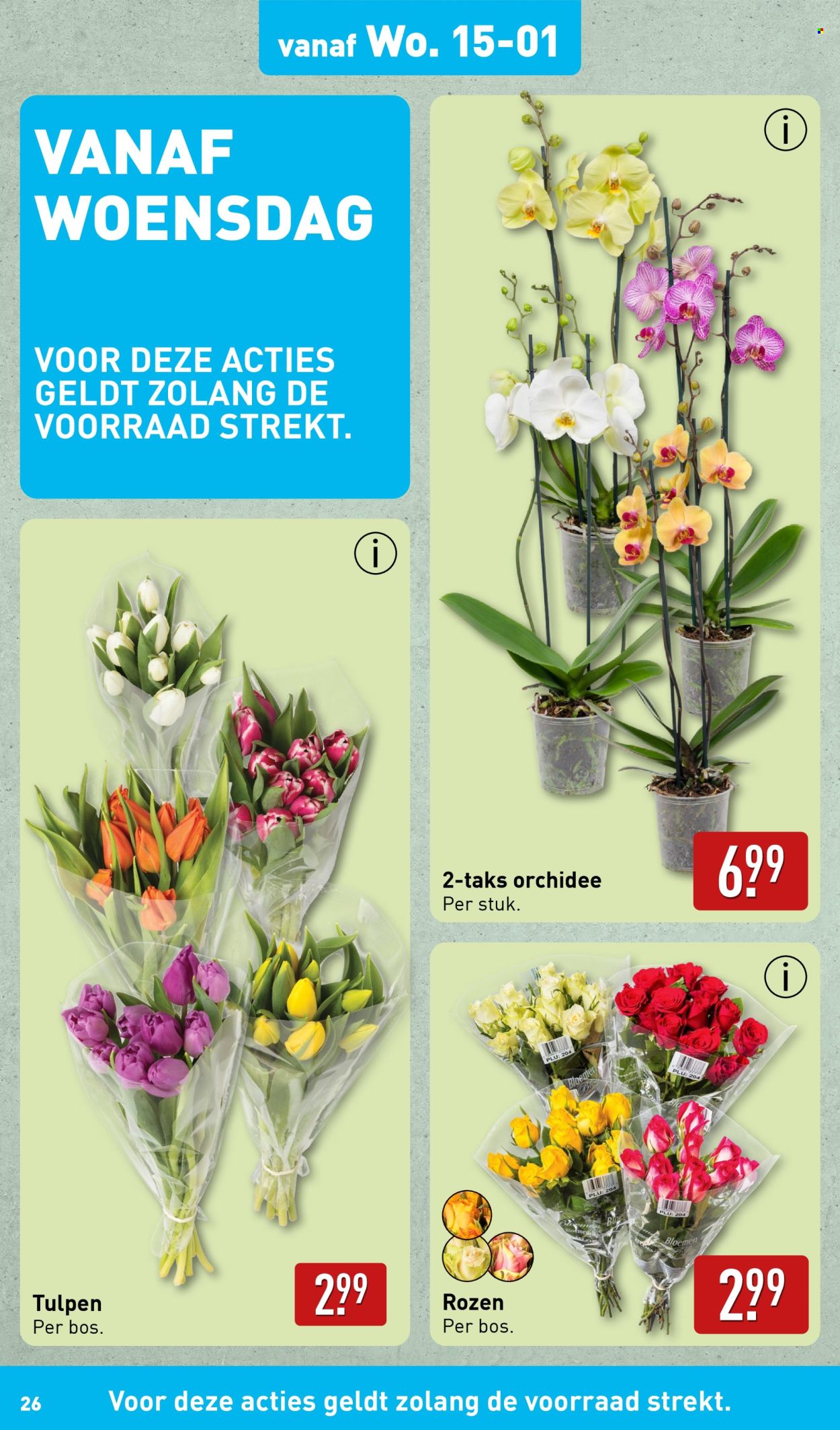 Aldi-aanbieding - 13-1-2025 - 19-1-2025. Pagina 26