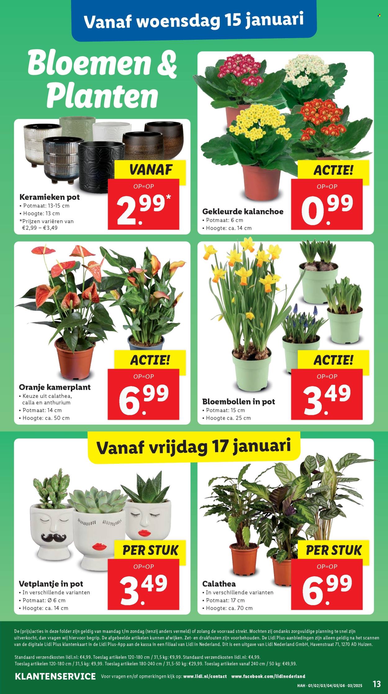 Lidl-aanbieding - 13-1-2025 - 19-1-2025. Pagina 15