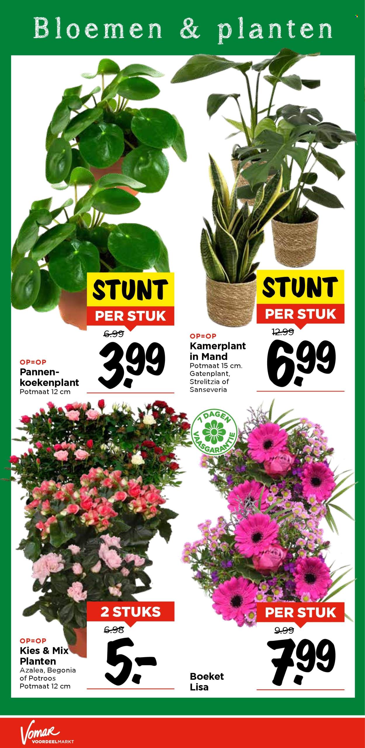 Vomar-aanbieding - 9-1-2025 - 11-1-2025. Pagina 33