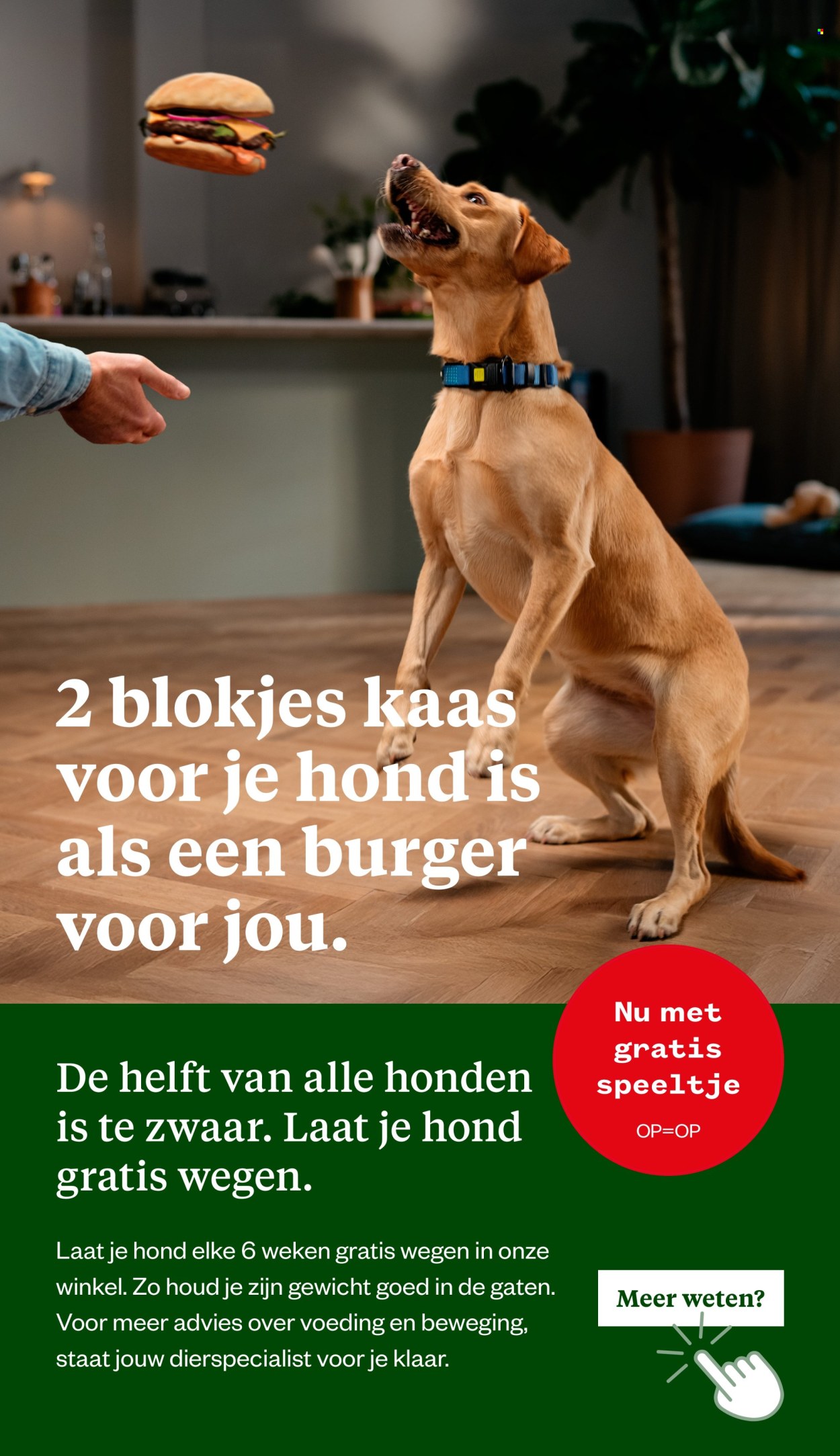 Welkoop-aanbieding - 13-1-2025 - 2-2-2025. Pagina 2