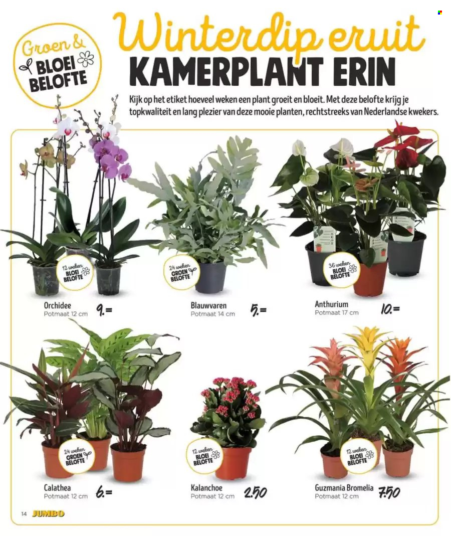 Jumbo-aanbieding - 15-1-2025 - 21-1-2025. Pagina 5