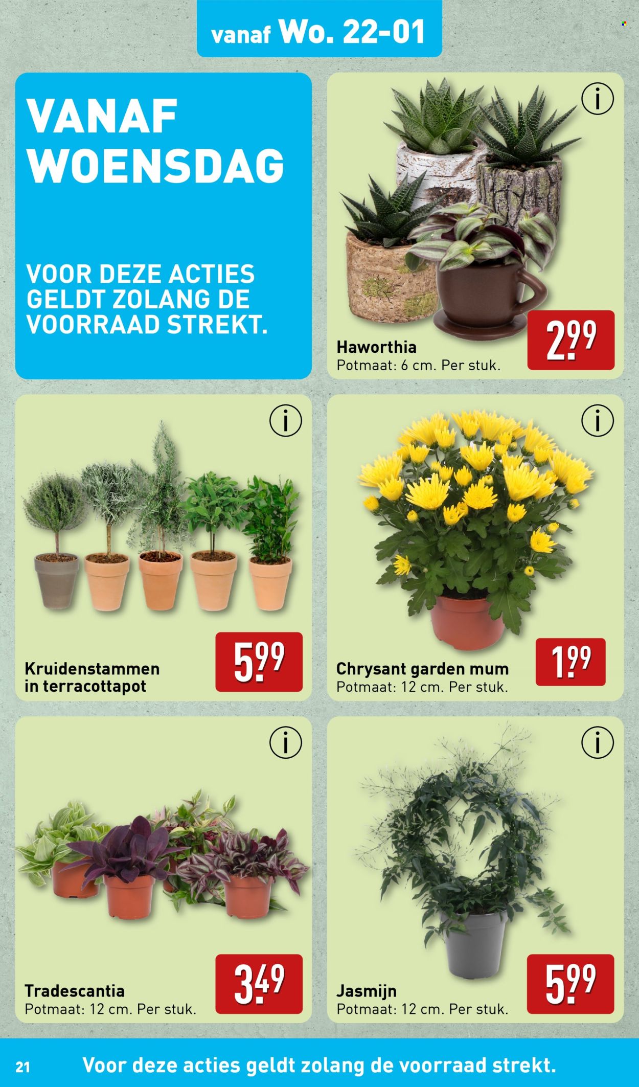 Aldi-aanbieding - 20-1-2025 - 26-1-2025. Pagina 21