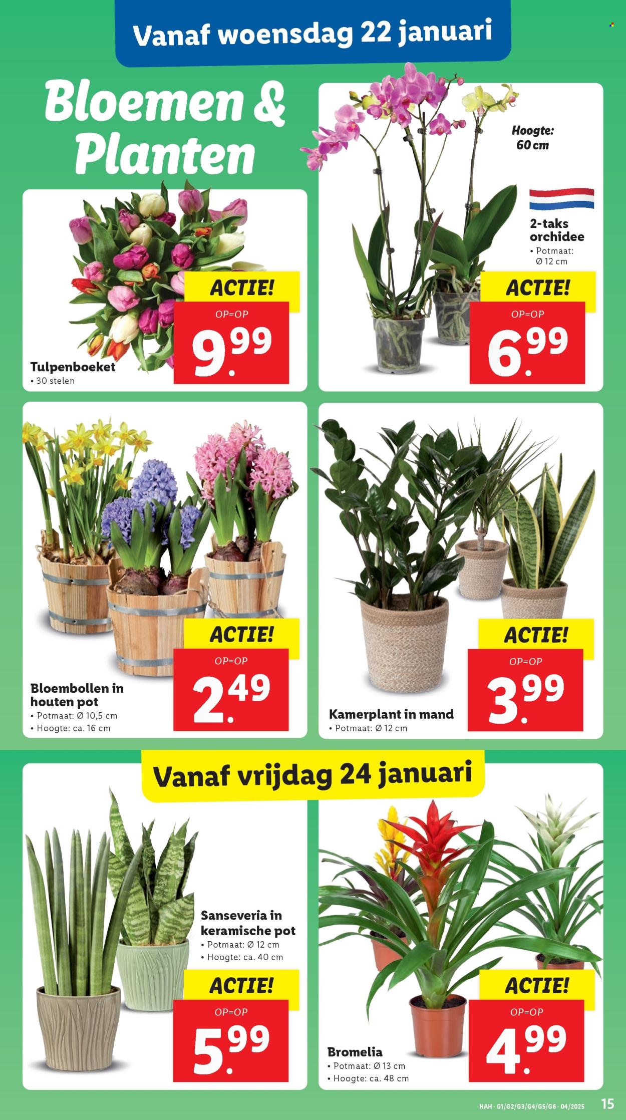 Lidl-aanbieding - 20-1-2025 - 26-1-2025. Pagina 15