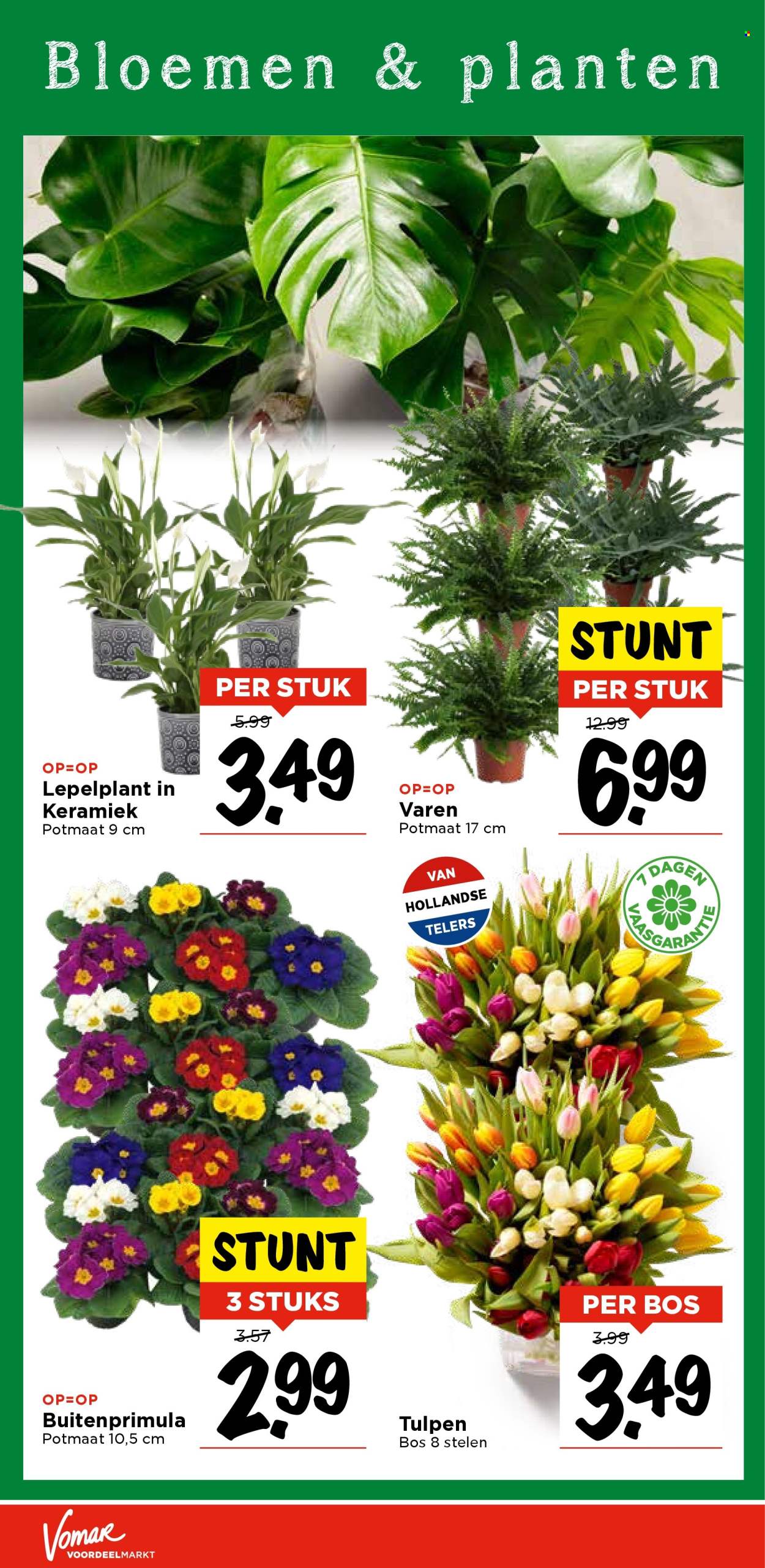 Vomar-aanbieding - 16-1-2025 - 18-1-2025. Pagina 40