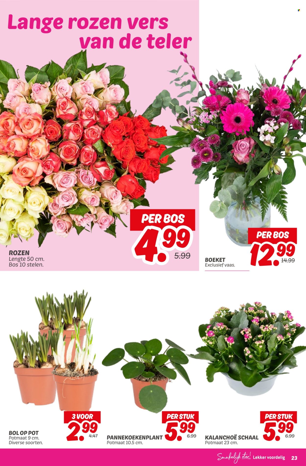 DekaMarkt-aanbieding - 21-1-2025 - 27-1-2025. Pagina 23