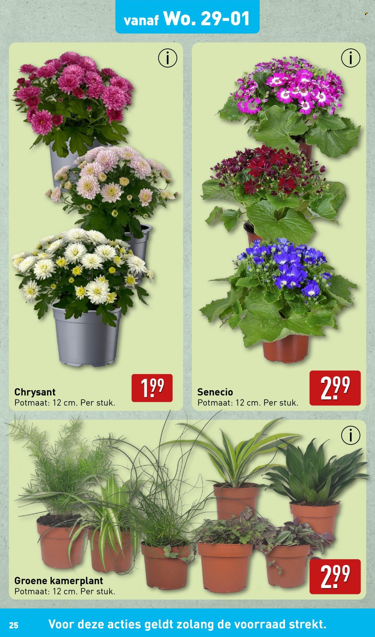 Aldi-aanbieding - 27-1-2025 - 2-2-2025. Pagina 25