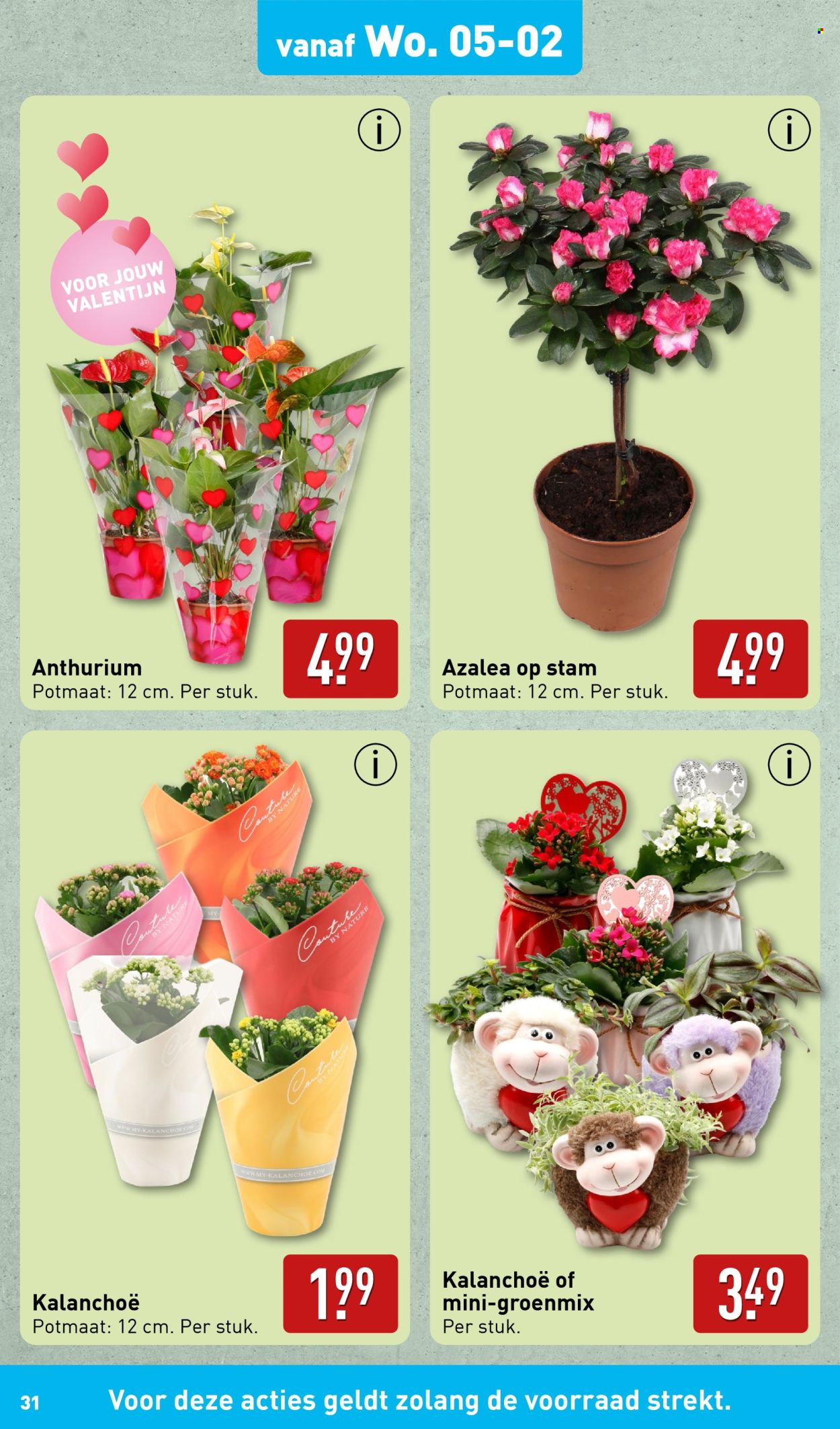 Aldi-aanbieding - 3-2-2025 - 9-2-2025. Pagina 31