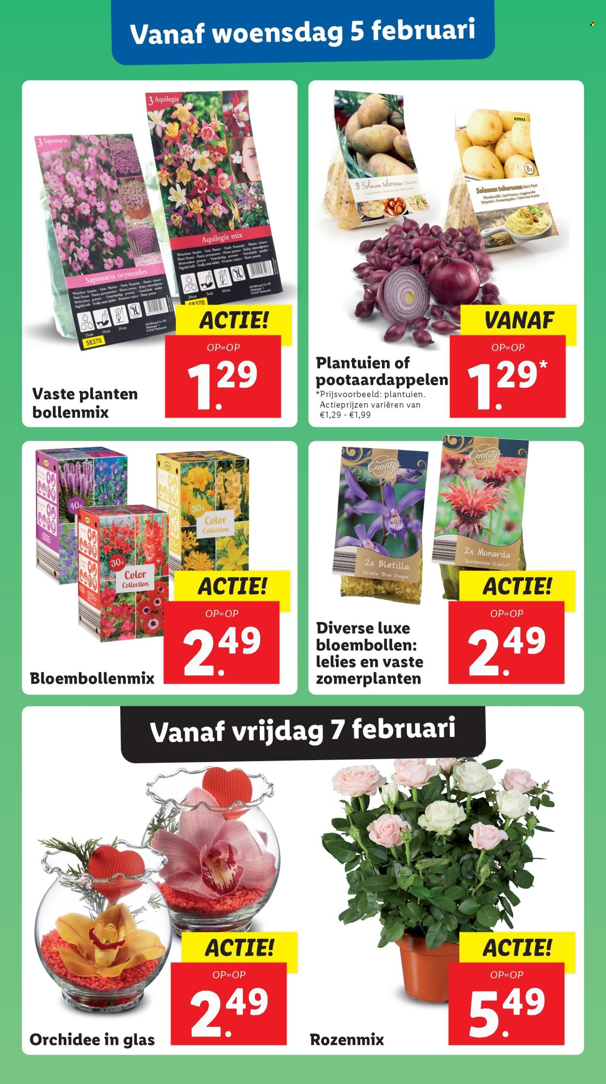 Lidl-aanbieding - 3-2-2025 - 9-2-2025. Pagina 14