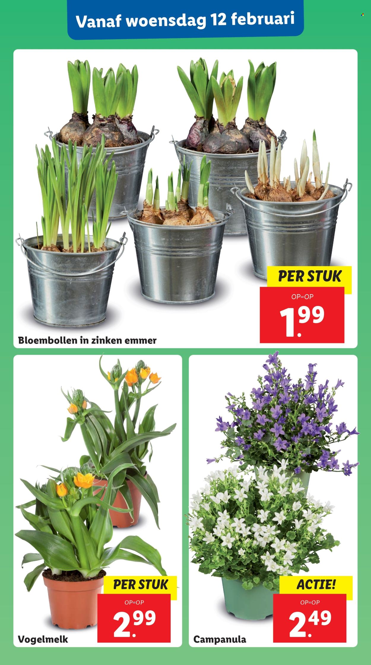 Lidl-aanbieding - 10-2-2025 - 16-2-2025. Pagina 24