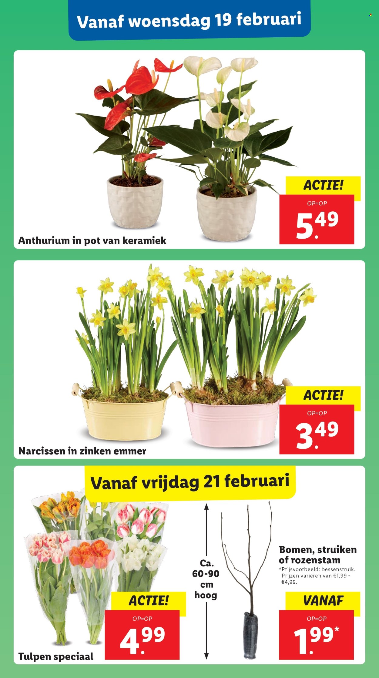 Lidl-aanbieding - 17-2-2025 - 23-2-2025. Pagina 23