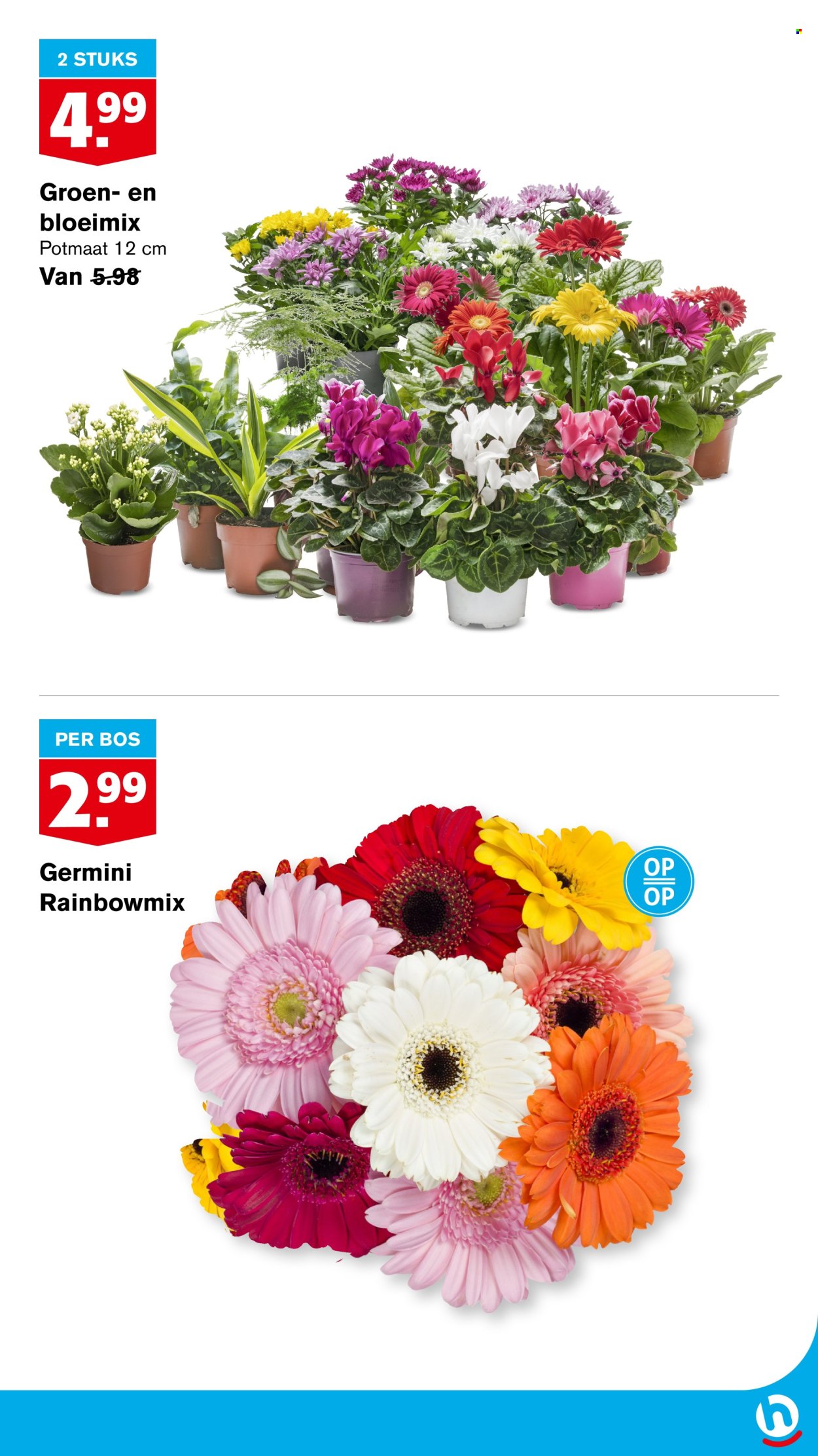 Hoogvliet-aanbieding - 19-2-2025 - 25-2-2025. Pagina 31