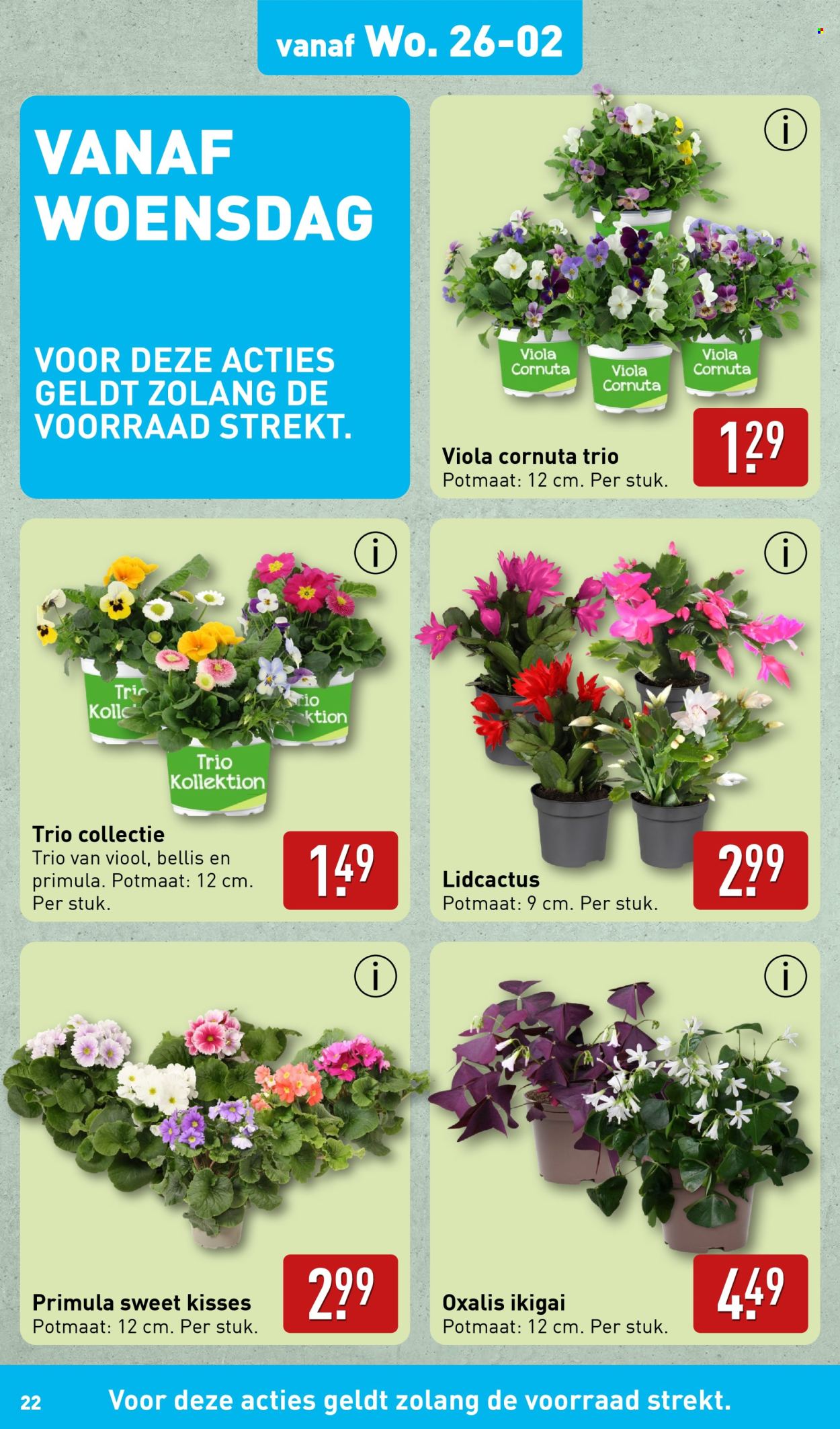 Aldi-aanbieding - 24-2-2025 - 2-3-2025. Pagina 22