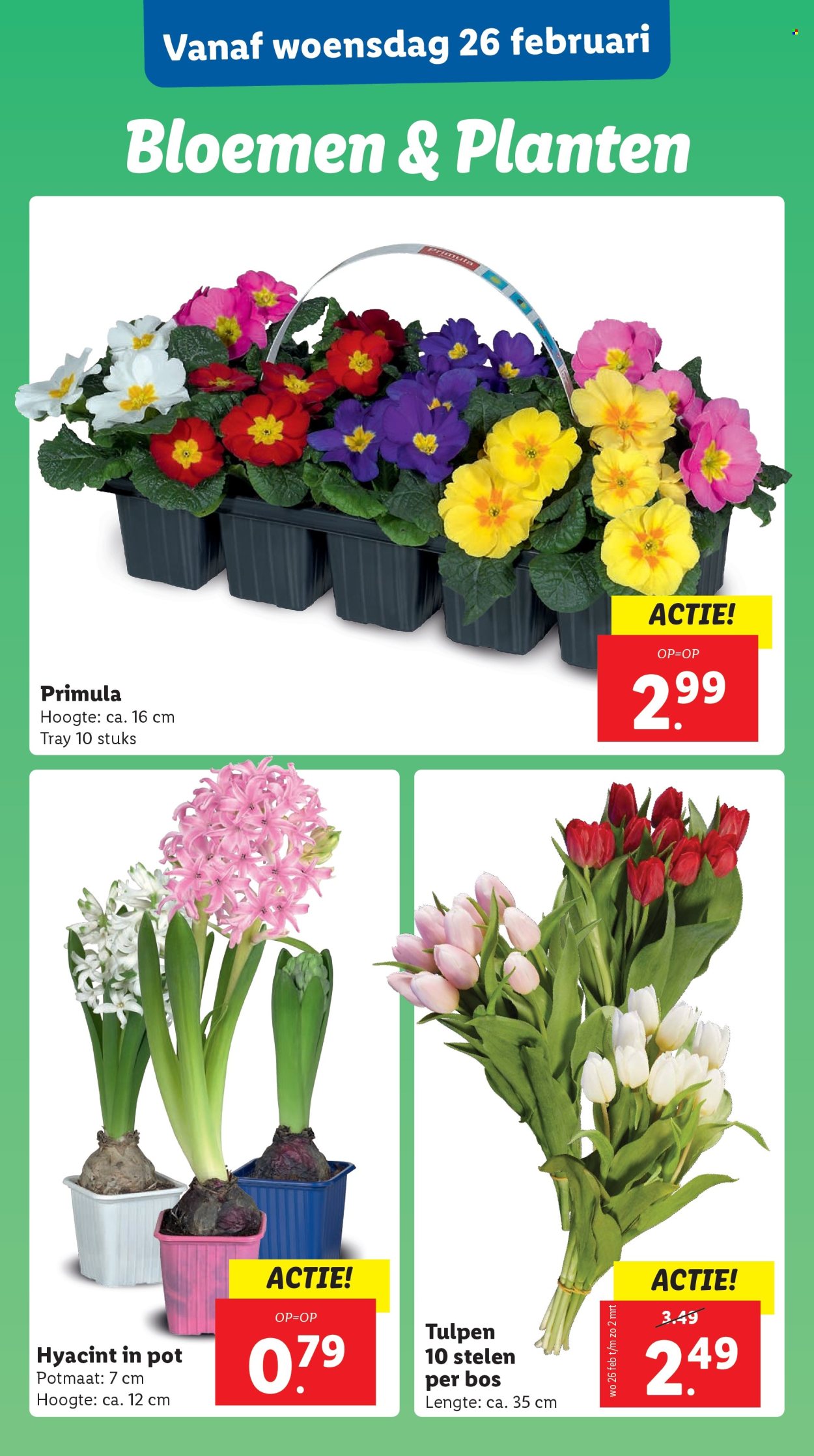 Lidl-aanbieding - 24-2-2025 - 2-3-2025. Pagina 21