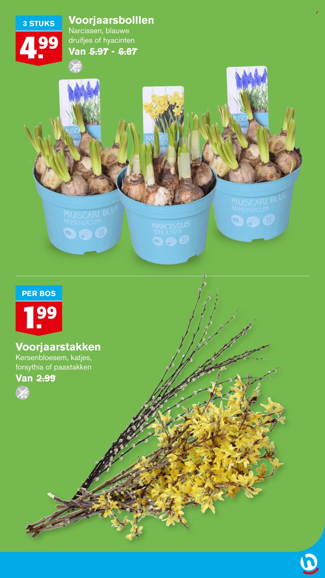 Hoogvliet-aanbieding - 26-2-2025 - 4-3-2025. Pagina 35