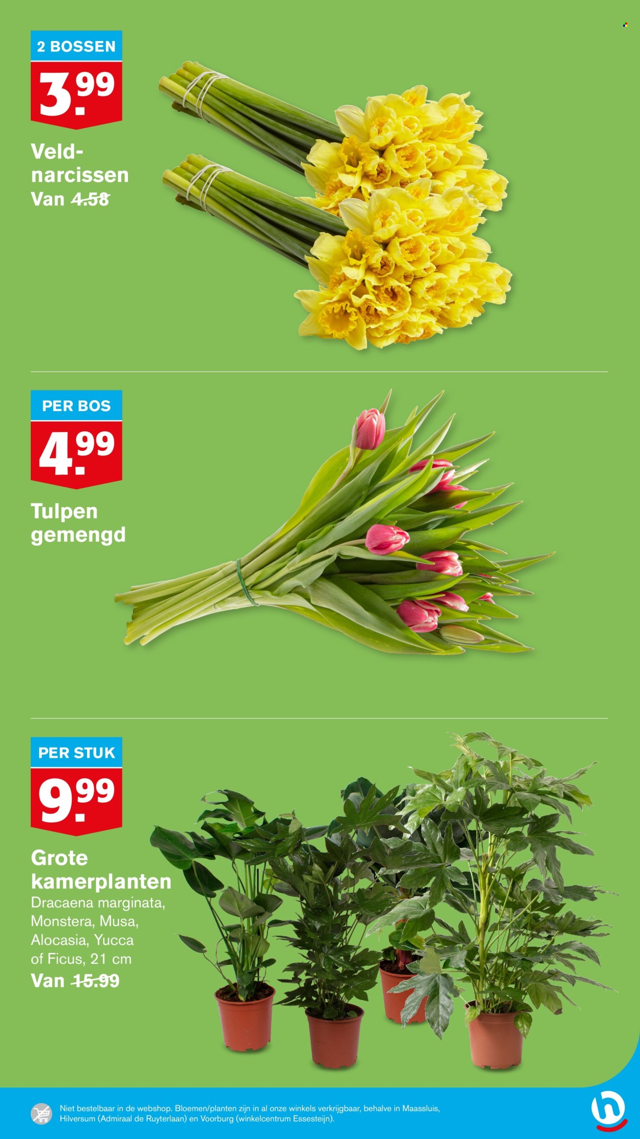 Hoogvliet-aanbieding - 5-3-2025 - 11-3-2025. Pagina 44