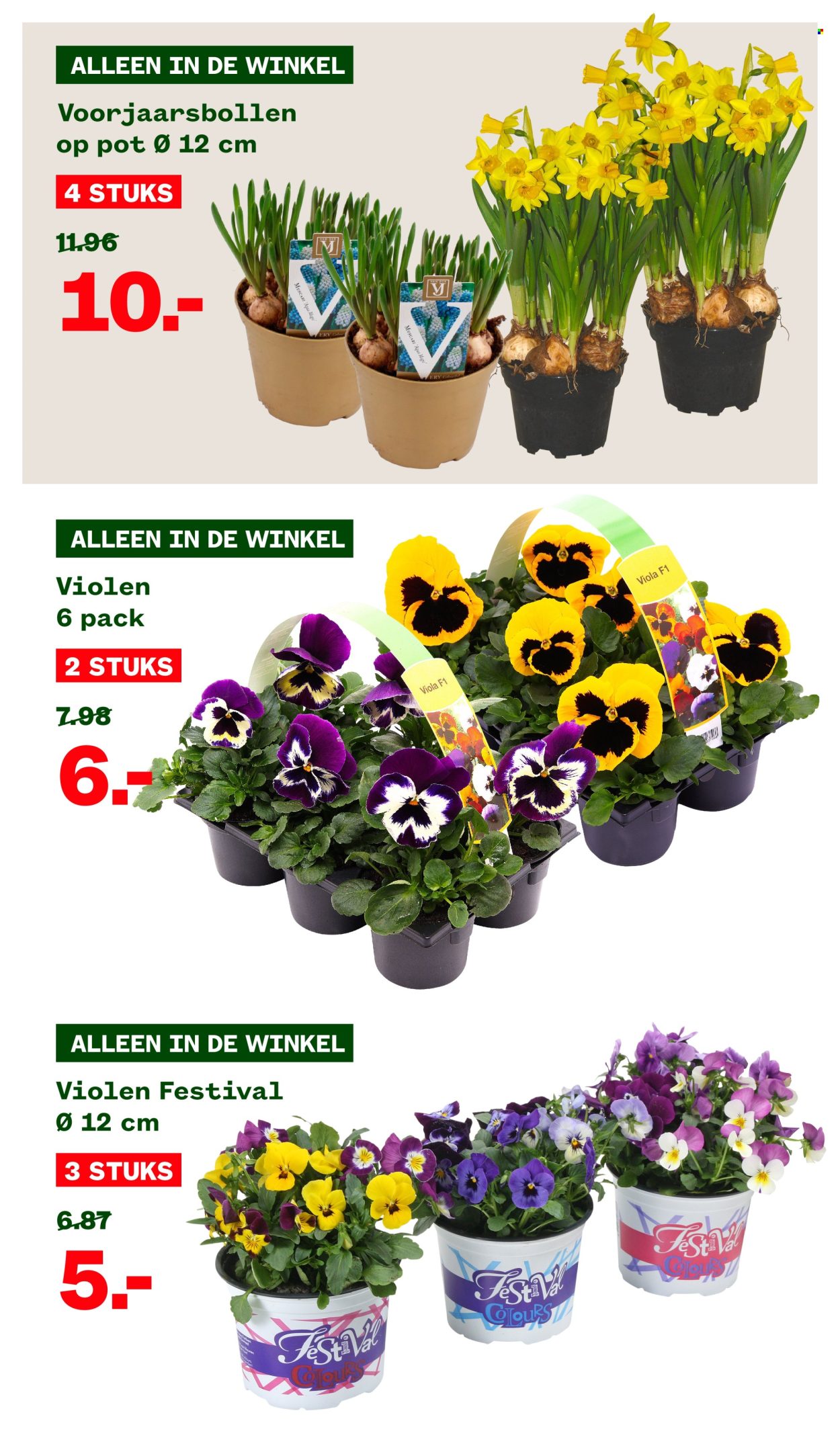Welkoop-aanbieding - 3-3-2025 - 16-3-2025. Pagina 2