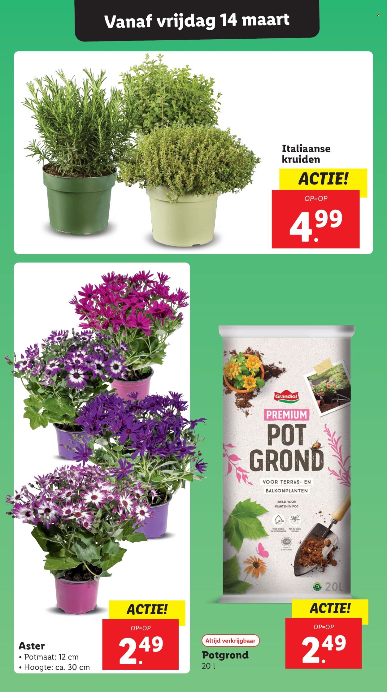 Lidl-aanbieding - 10-3-2025 - 16-3-2025. Pagina 19