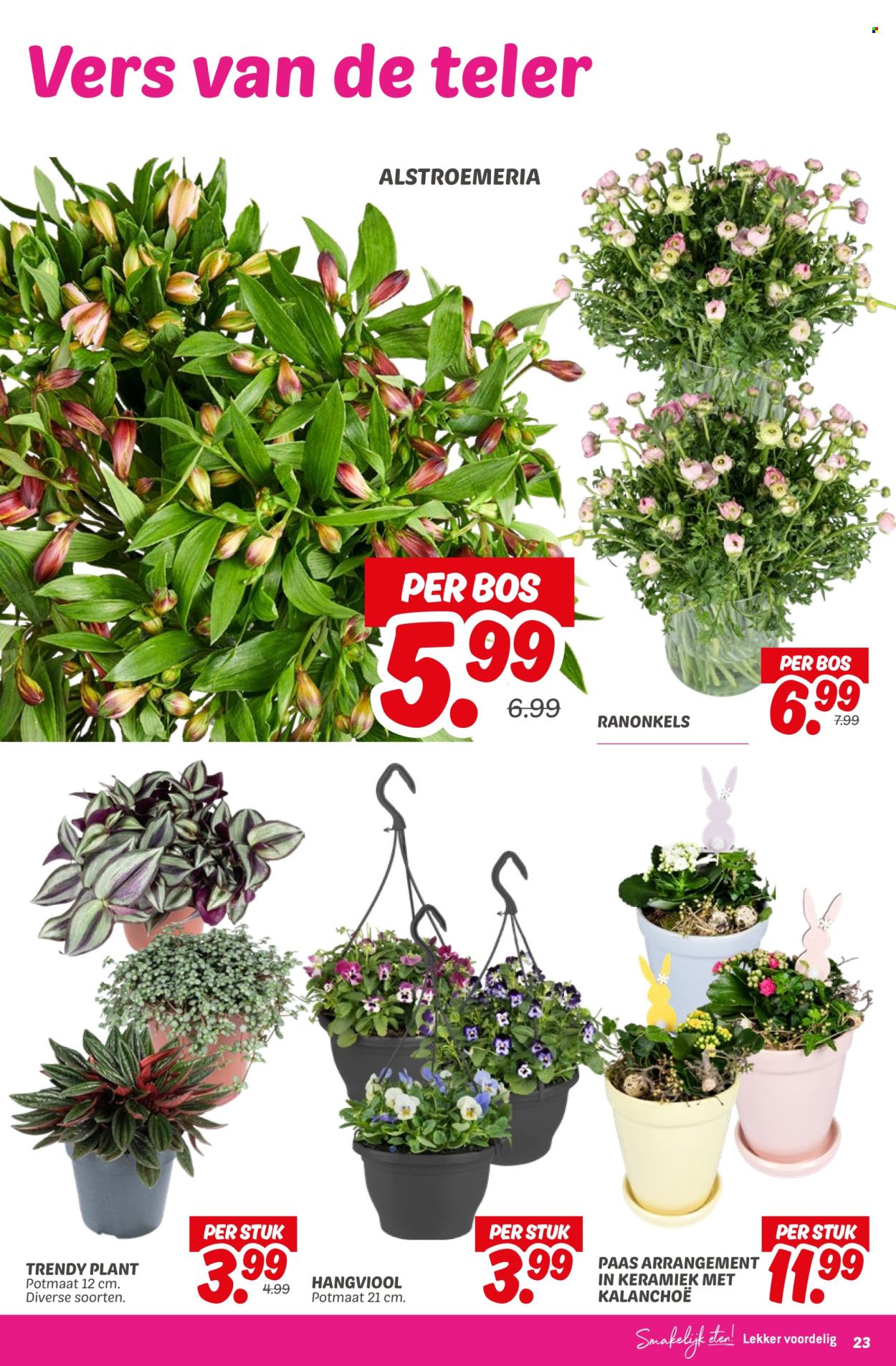DekaMarkt-aanbieding - 11-3-2025 - 17-3-2025. Pagina 25