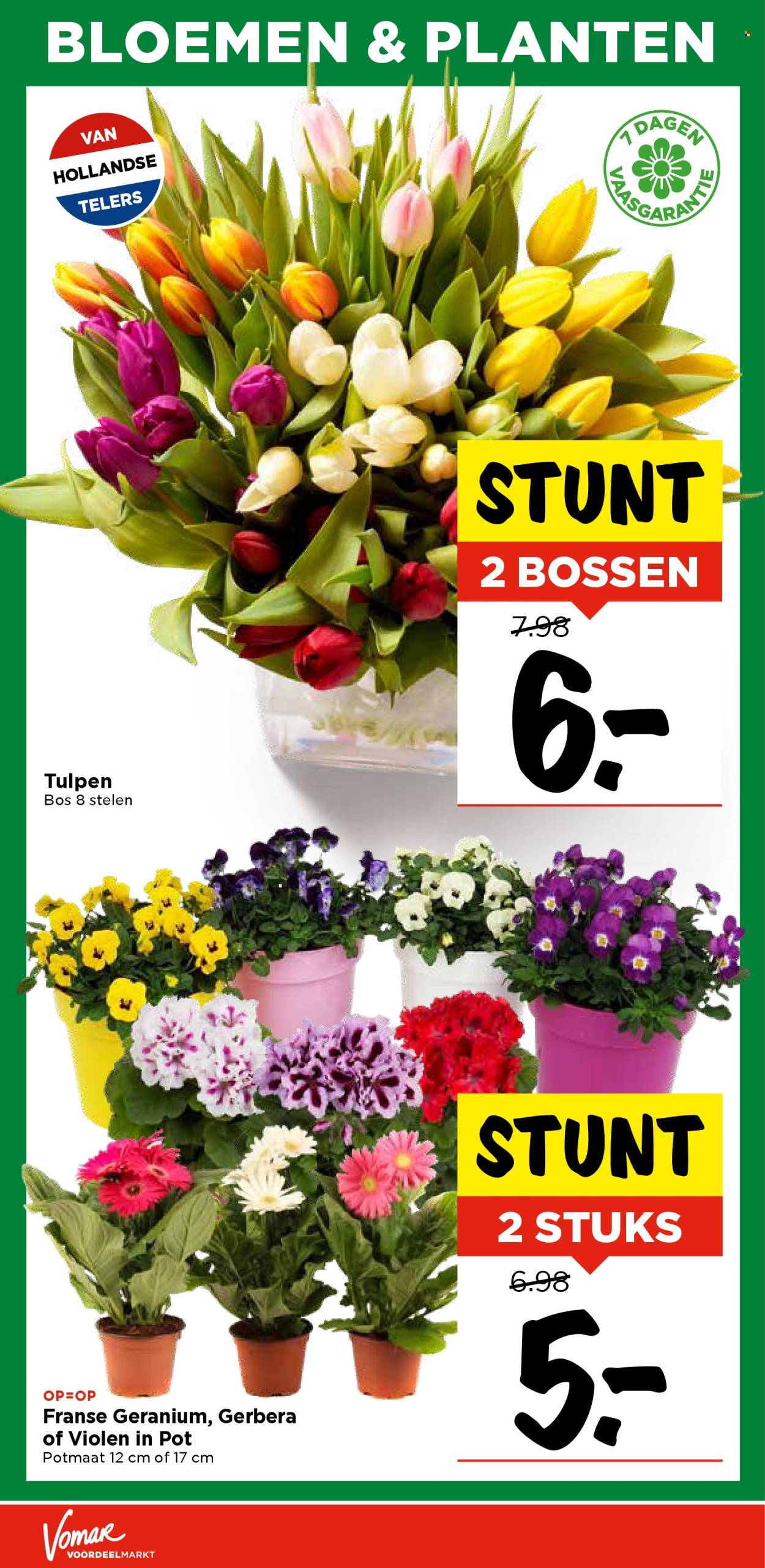 Vomar-aanbieding - 9-3-2025 - 15-3-2025. Pagina 40