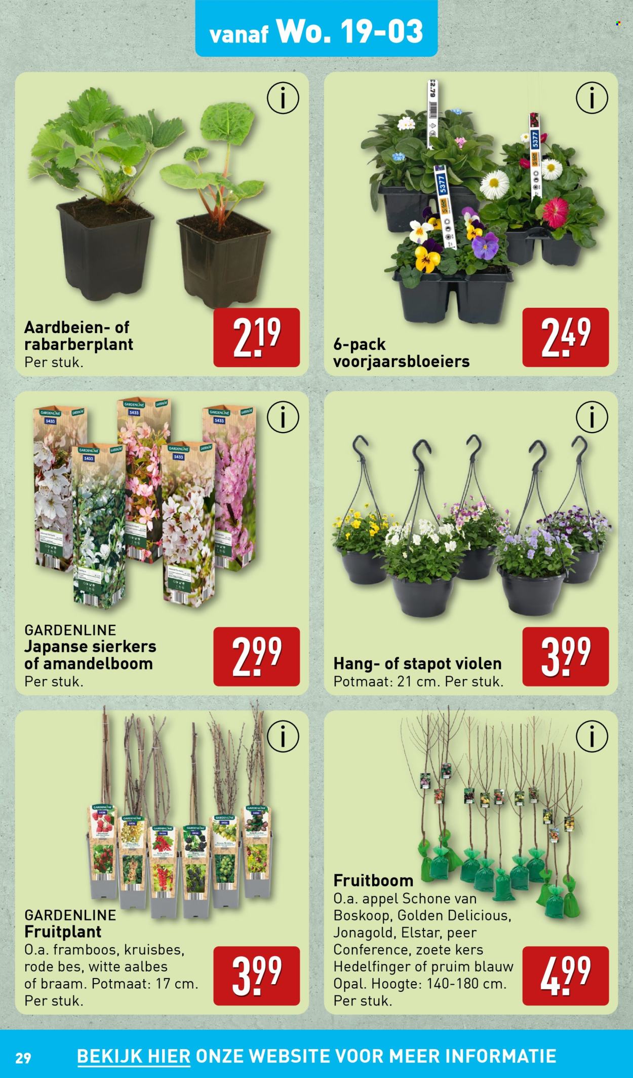 Aldi-aanbieding - 17-3-2025 - 23-3-2025. Pagina 29