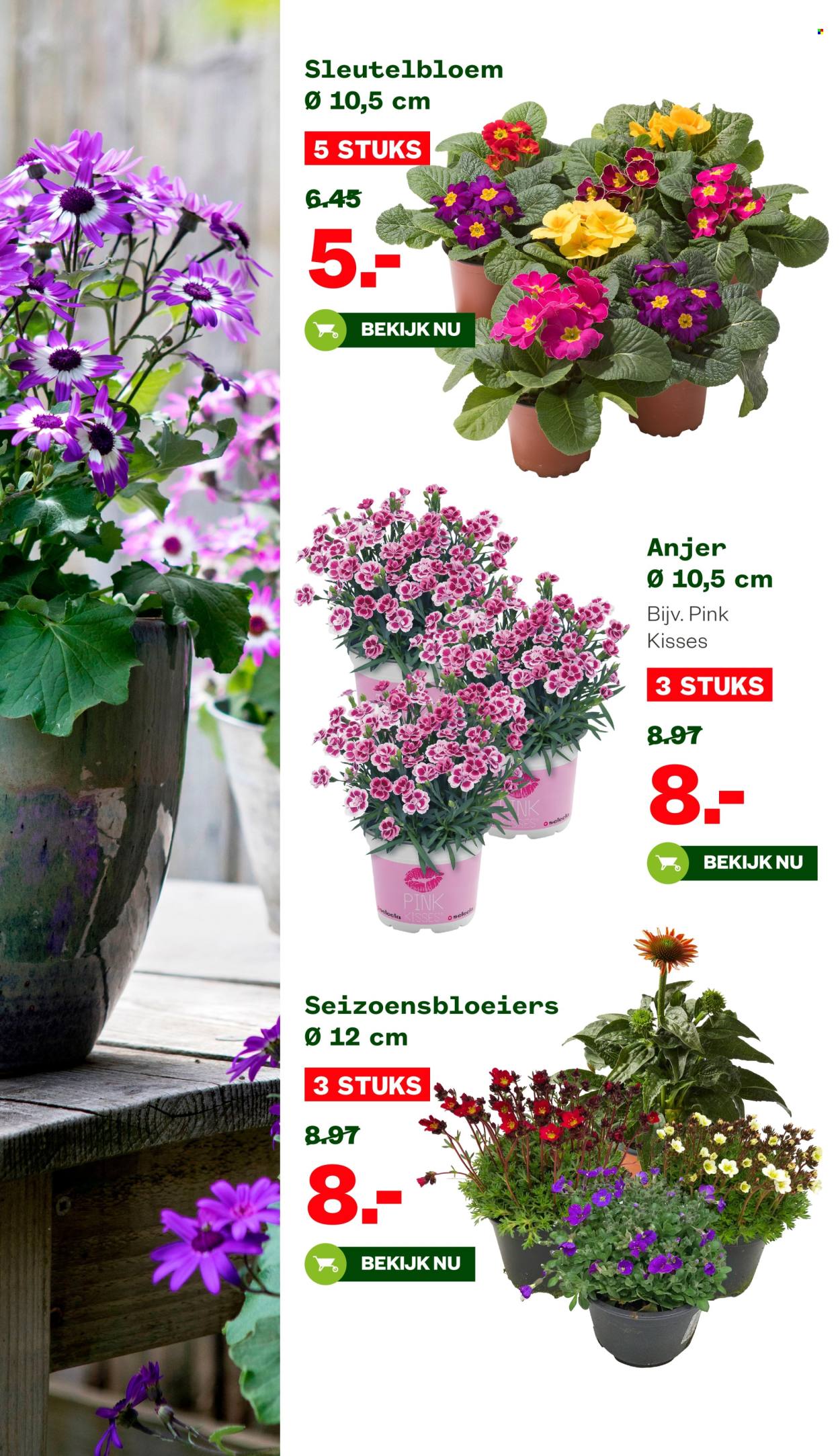 Welkoop-aanbieding - 17-3-2025 - 30-3-2025. Pagina 2