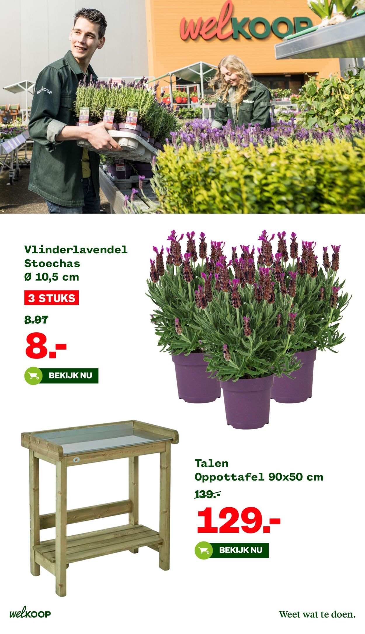 Welkoop-aanbieding - 17-3-2025 - 30-3-2025. Pagina 3