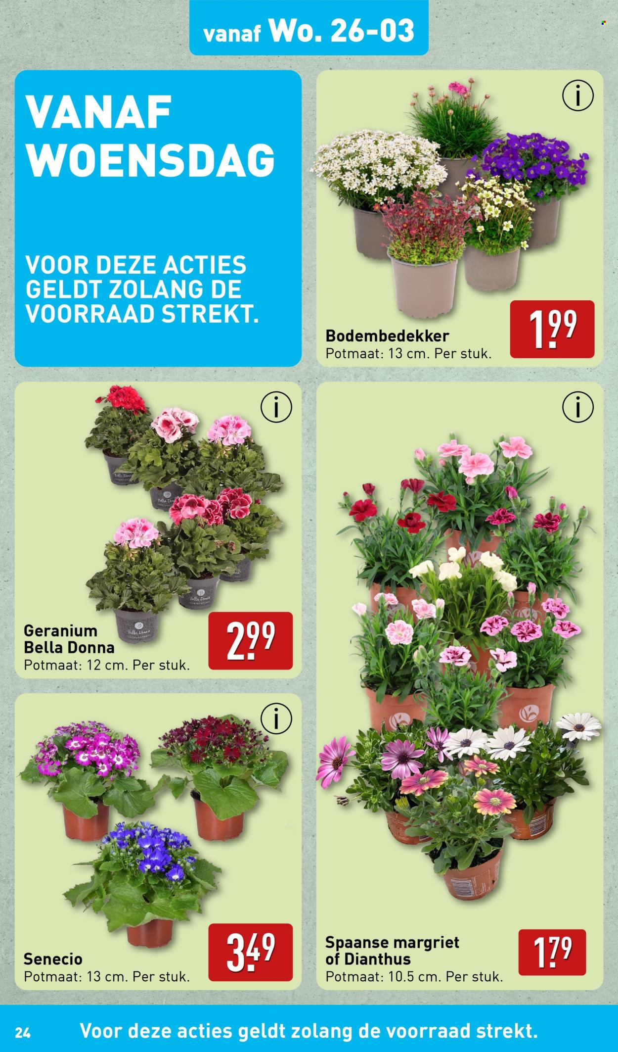 Aldi-aanbieding - 24-3-2025 - 30-3-2025. Pagina 24