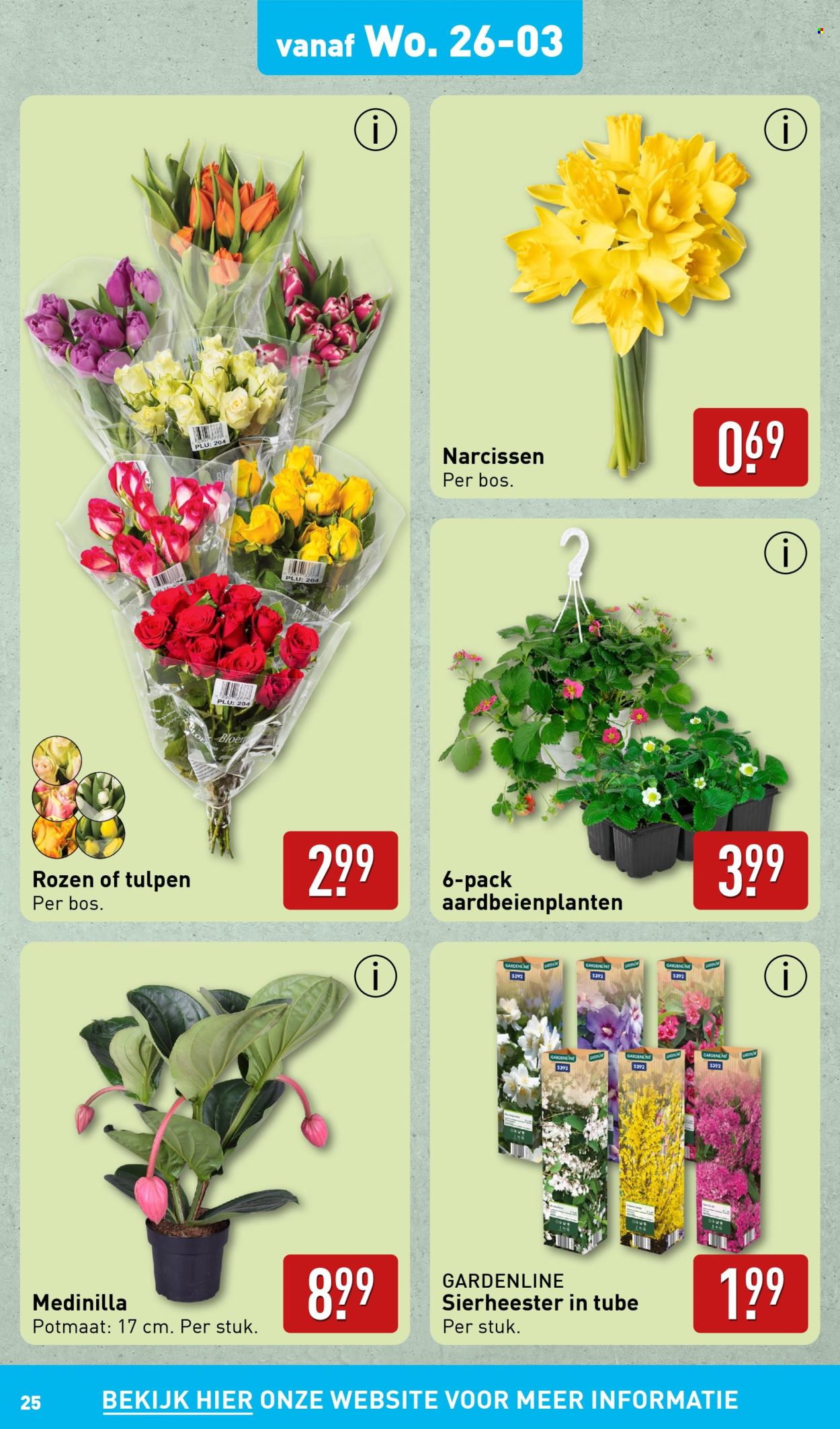 Aldi-aanbieding - 24-3-2025 - 30-3-2025. Pagina 25
