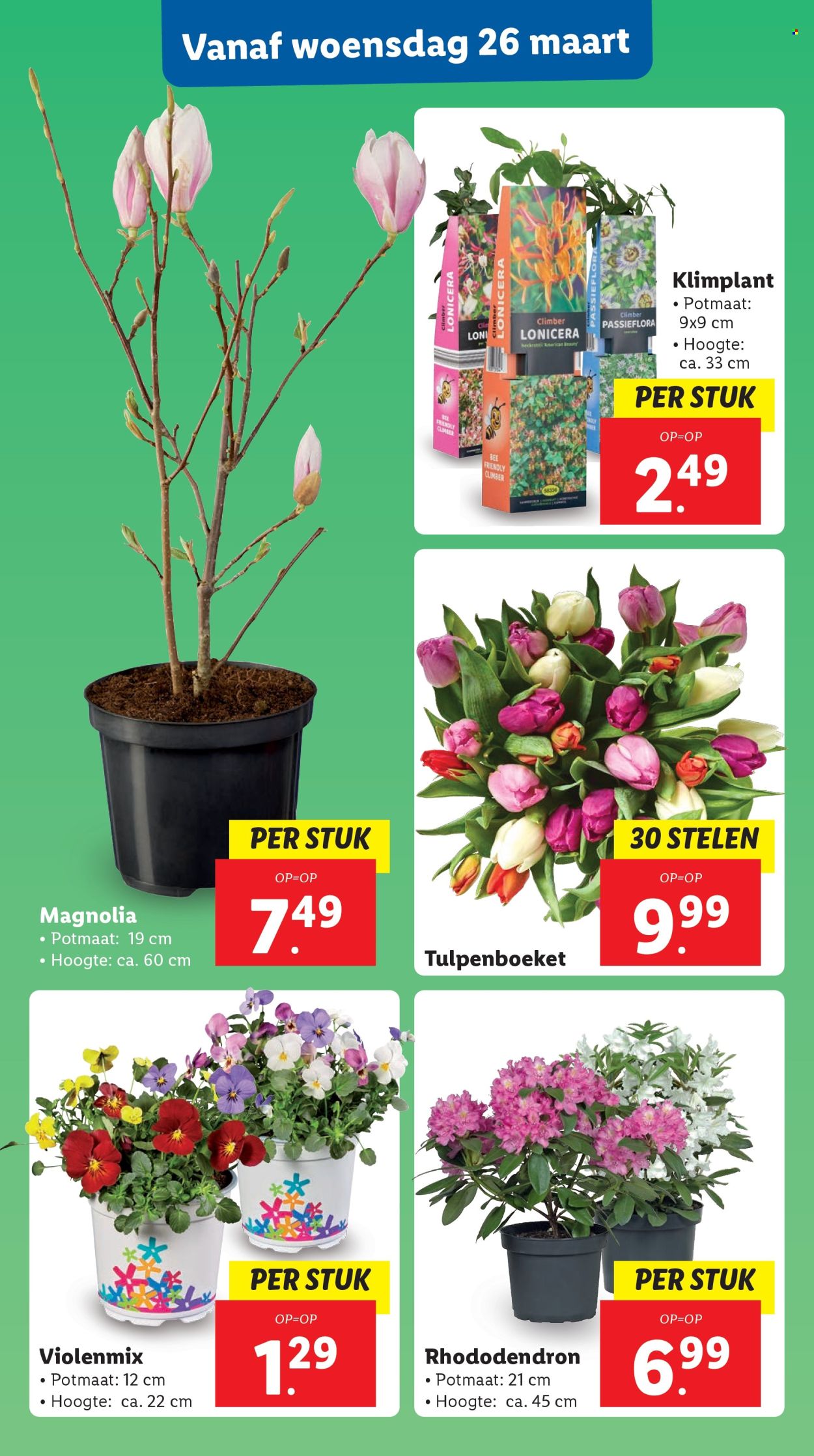 Lidl-aanbieding - 24-3-2025 - 30-3-2025. Pagina 24
