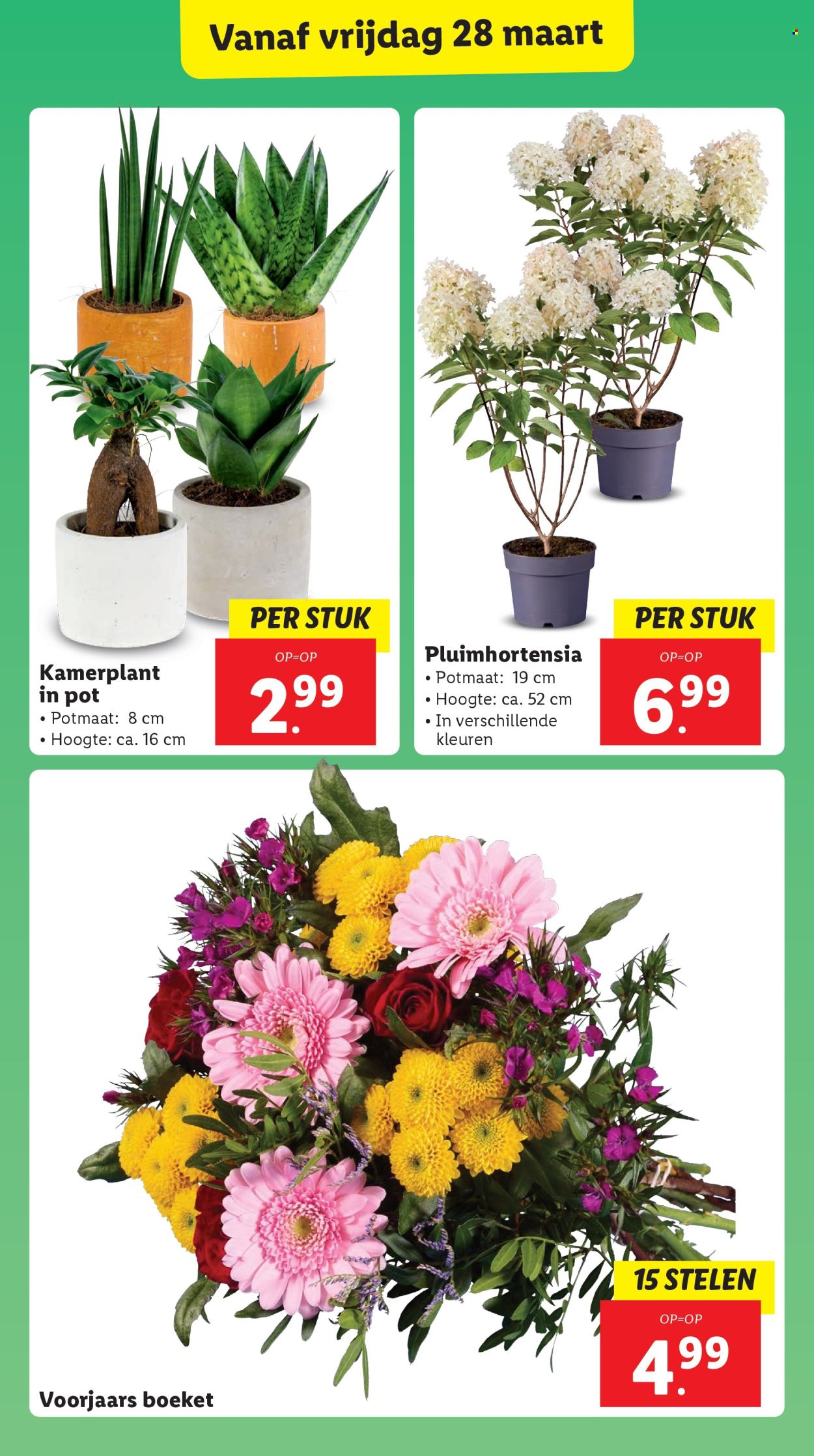 Lidl-aanbieding - 24-3-2025 - 30-3-2025. Pagina 25