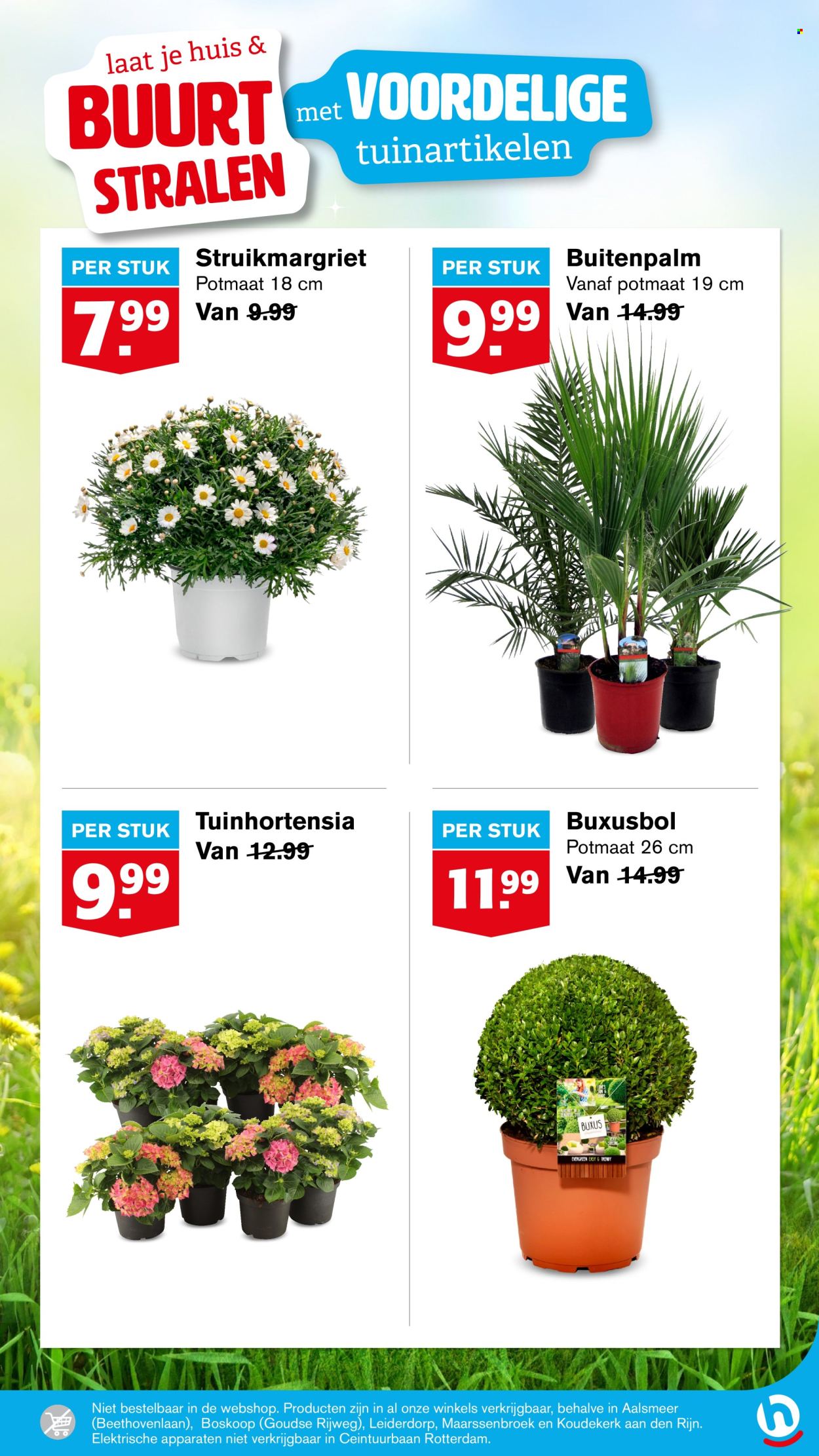 Hoogvliet-aanbieding - 2-4-2025 - 8-4-2025. Pagina 44