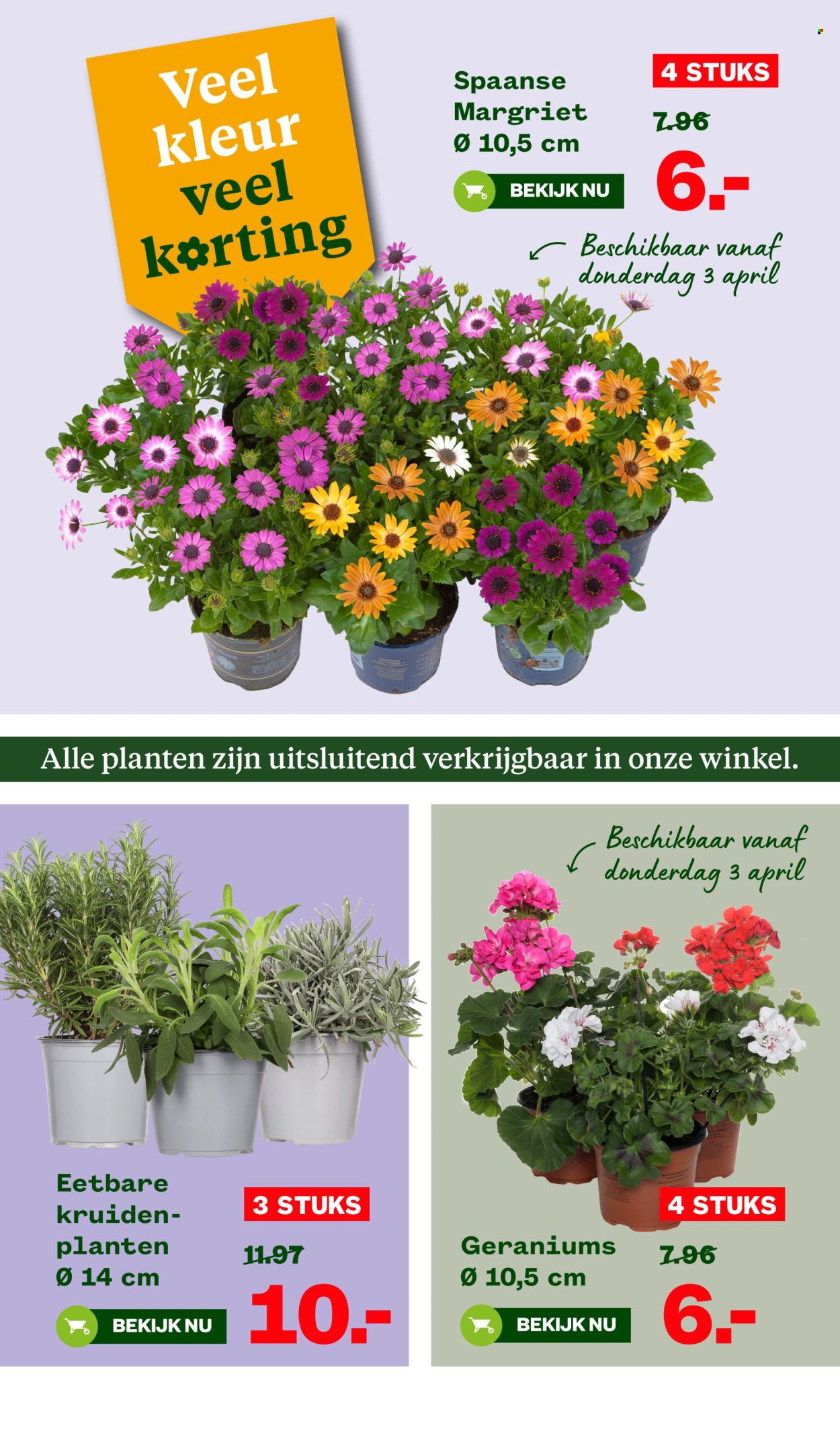 Welkoop-aanbieding - 31-3-2025 - 13-4-2025. Pagina 2
