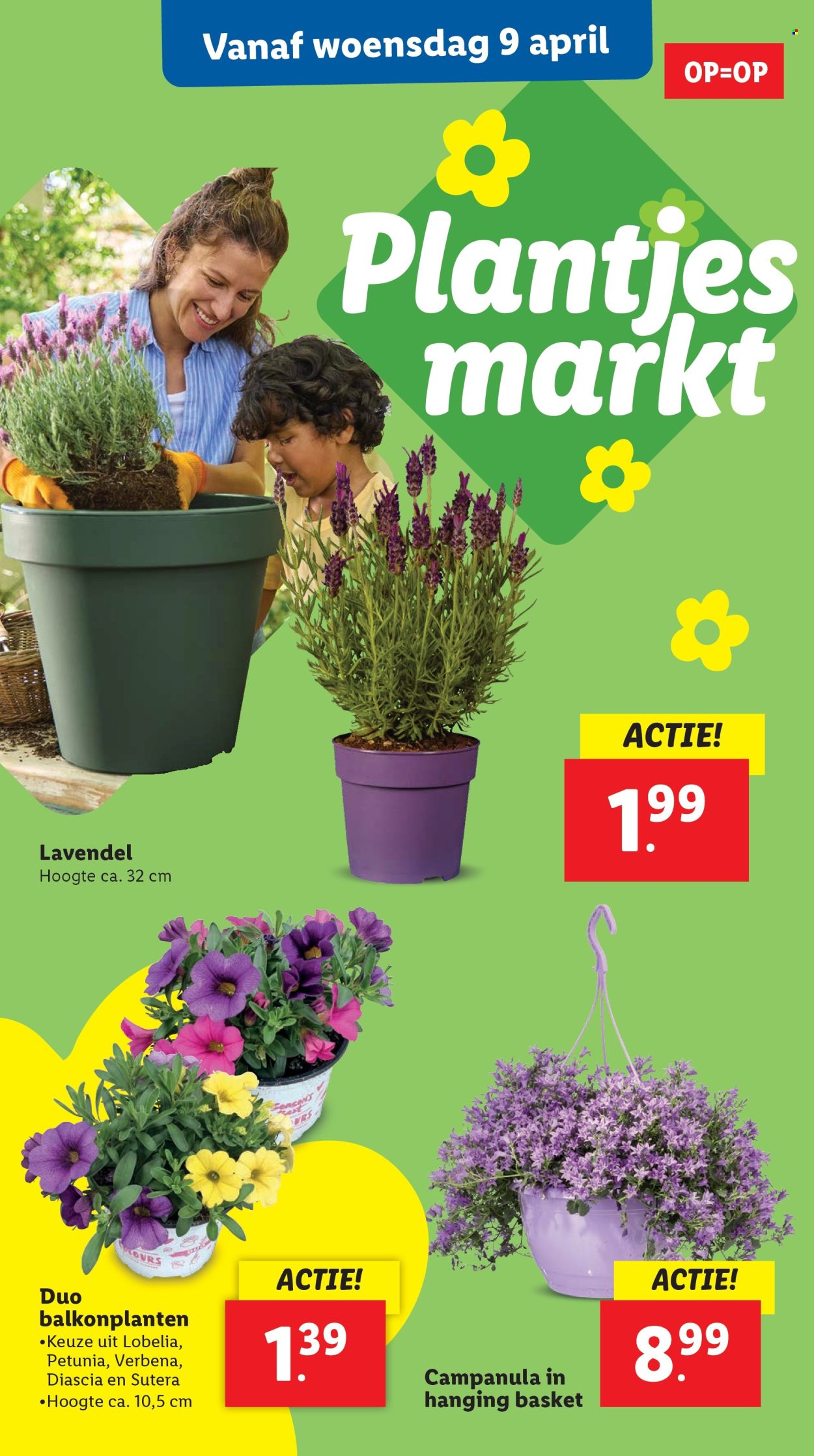 Lidl-aanbieding - 7-4-2025 - 13-4-2025. Pagina 34