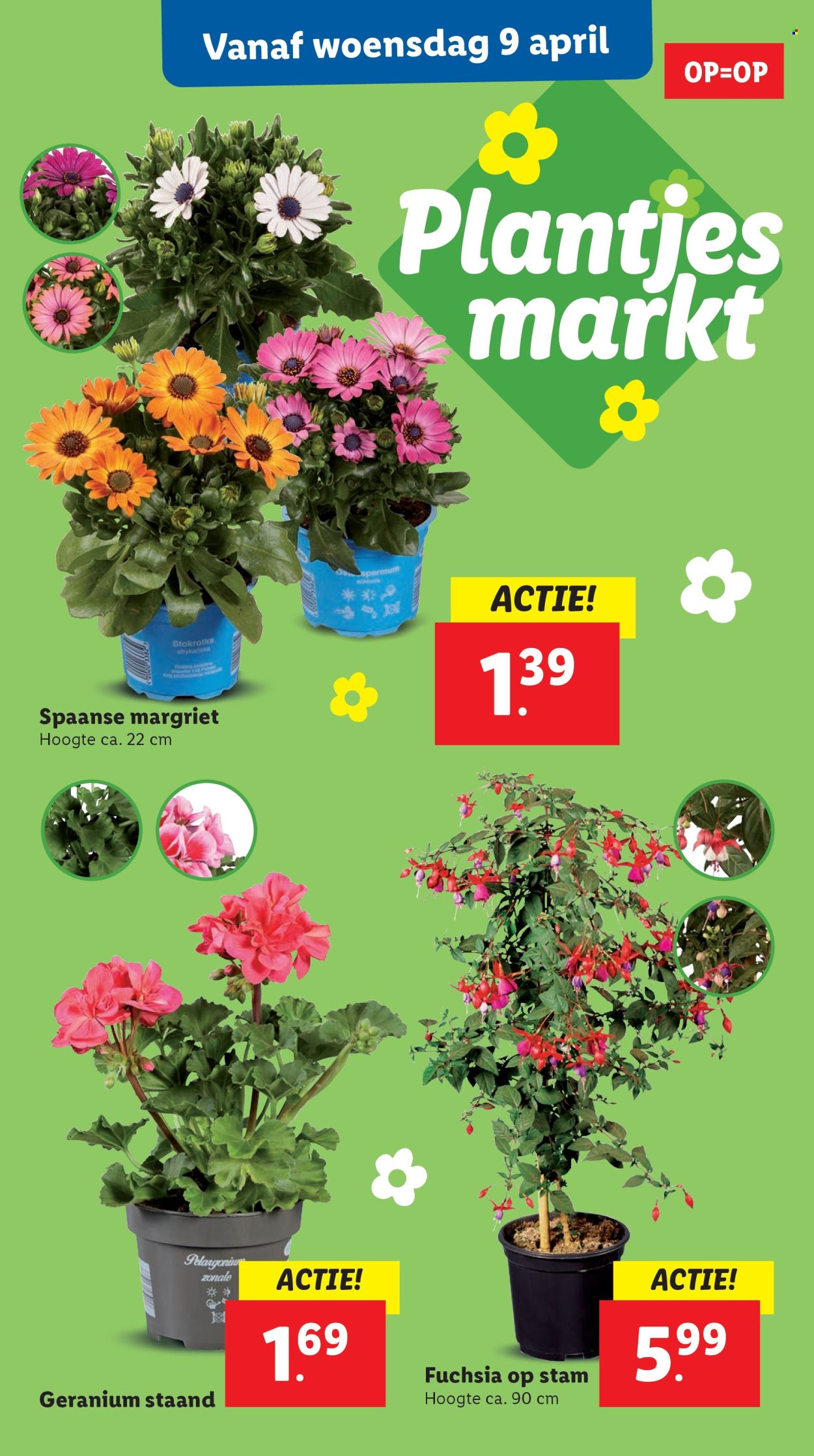 Lidl-aanbieding - 7-4-2025 - 13-4-2025. Pagina 35