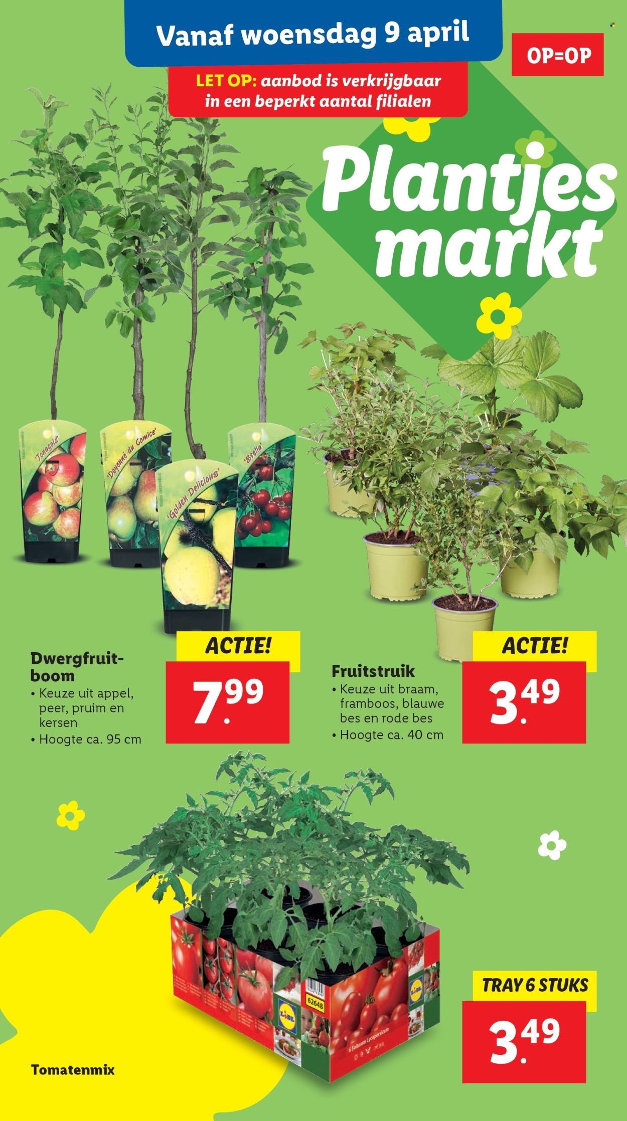 Lidl-aanbieding - 7-4-2025 - 13-4-2025. Pagina 39