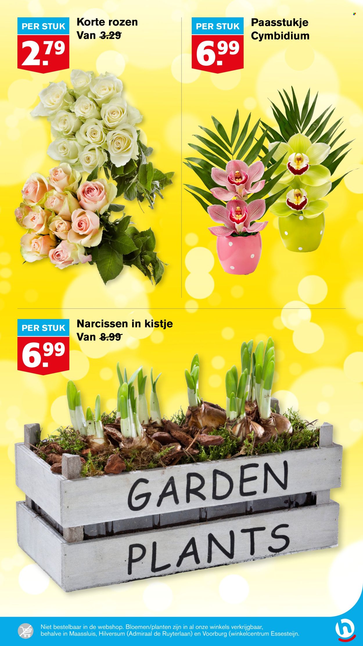 Hoogvliet-aanbieding - 9-4-2025 - 15-4-2025. Pagina 8