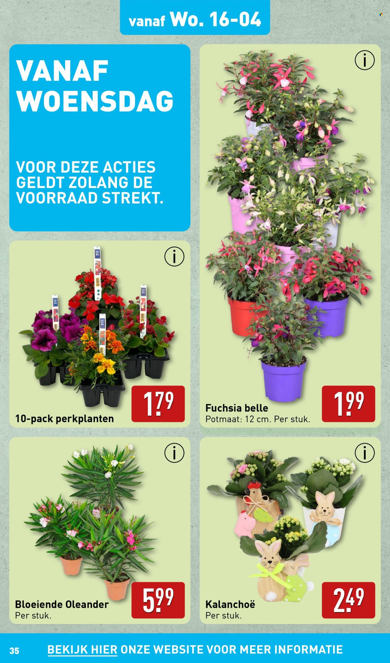 Aldi-aanbieding - 14-4-2025 - 21-4-2025. Pagina 35