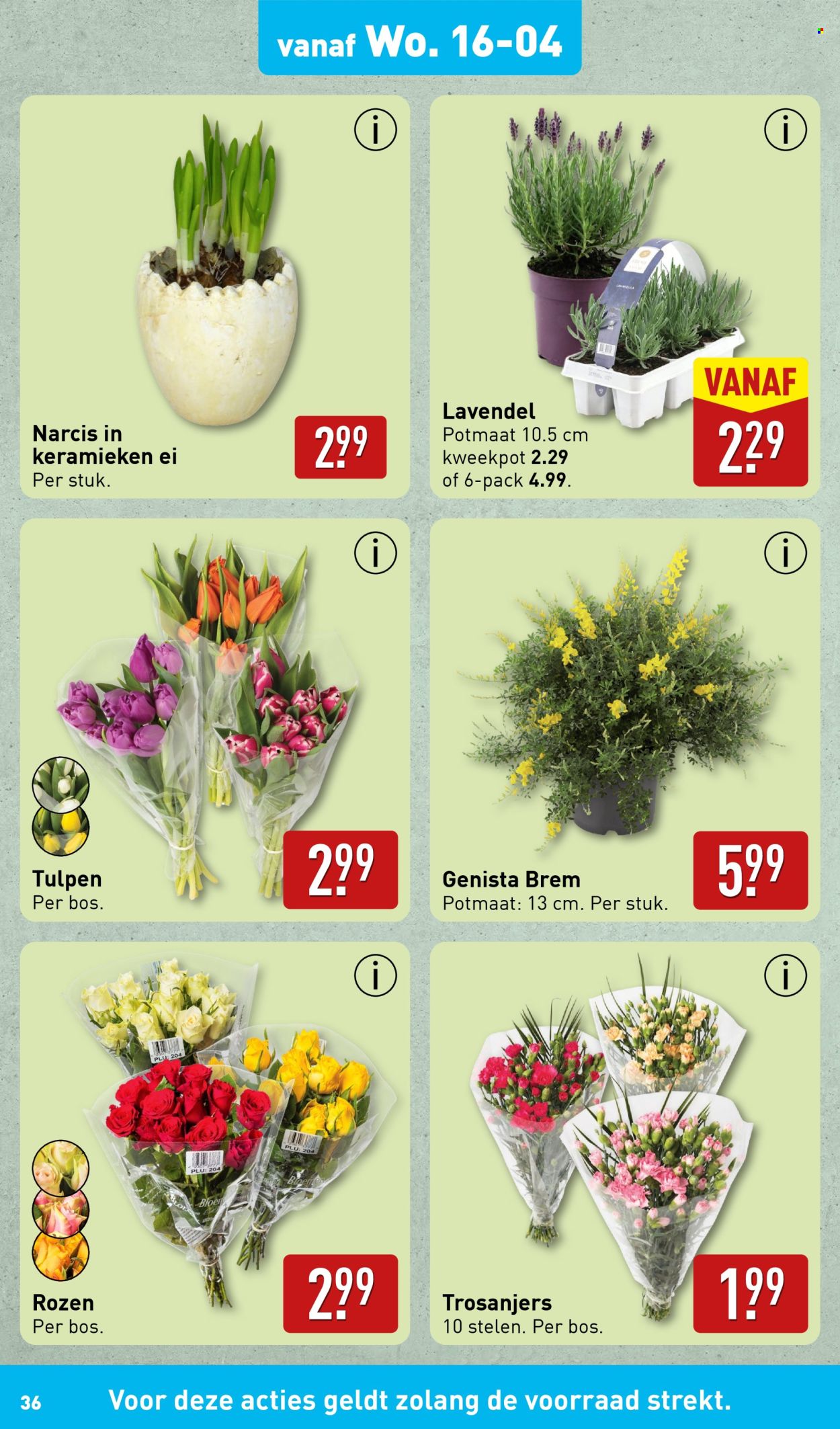Aldi-aanbieding - 14-4-2025 - 21-4-2025. Pagina 36